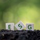 KOLDING – Få bæredygtighed og ESG til at blive en del af din strategi