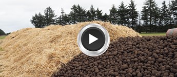 VIDEO: Lav den perfekte kartoffelkule
