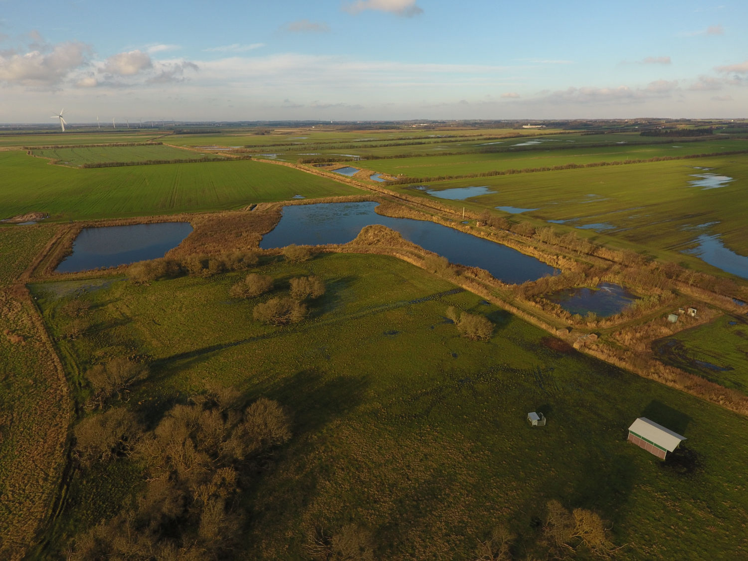 Skal du lave et minivådområde i 2020?