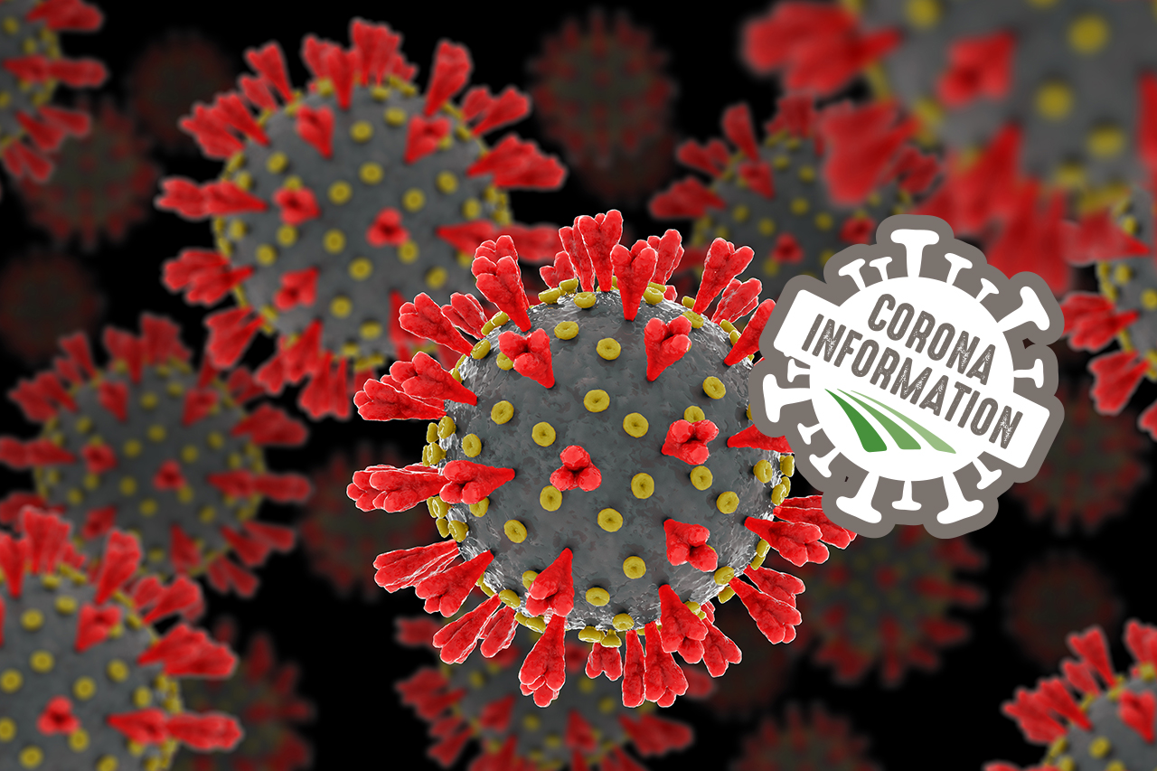 Covid-19 giver udvidet ret til sygedagpenge