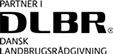 DLBR
