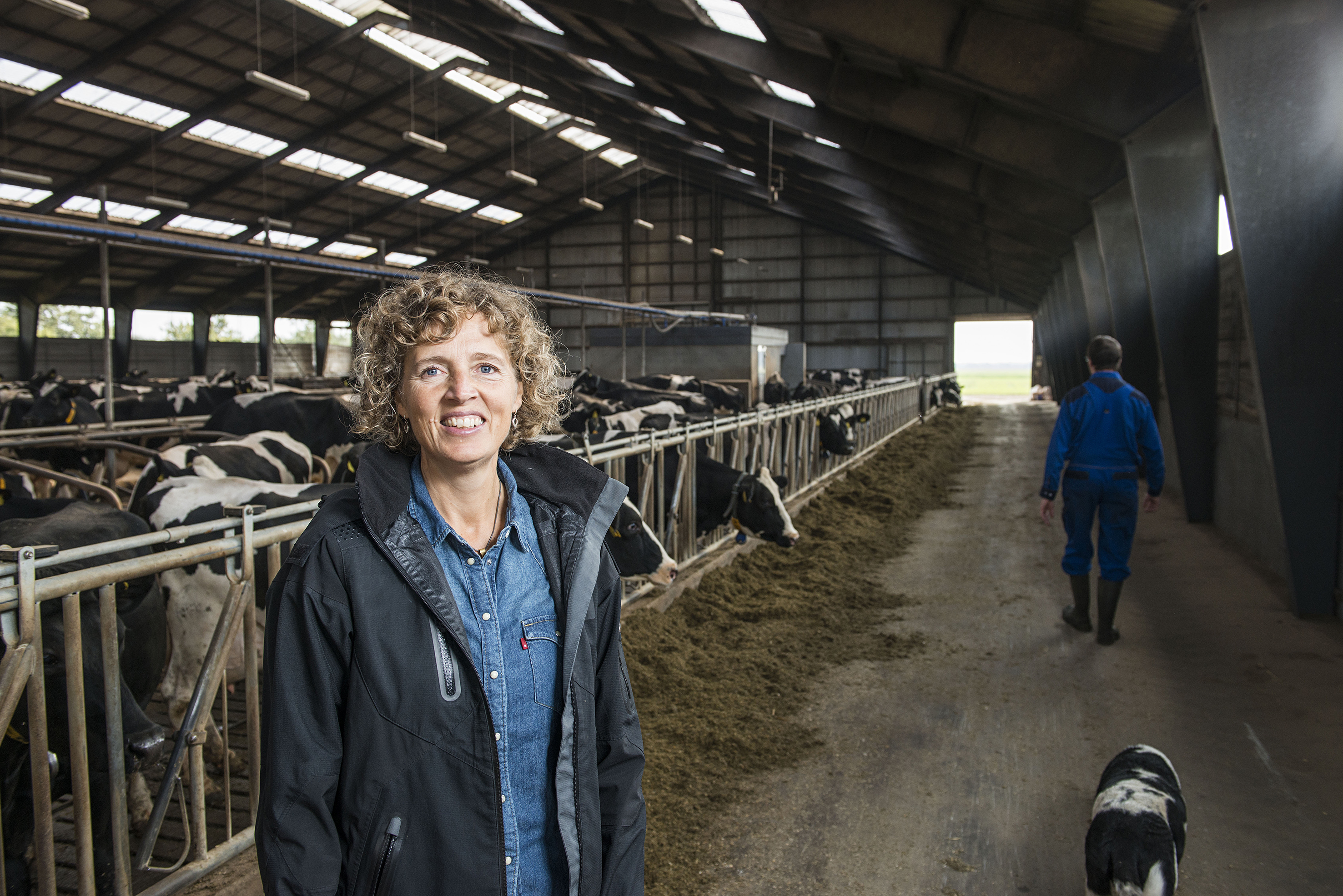 MiIjø for fulde omdrejninger