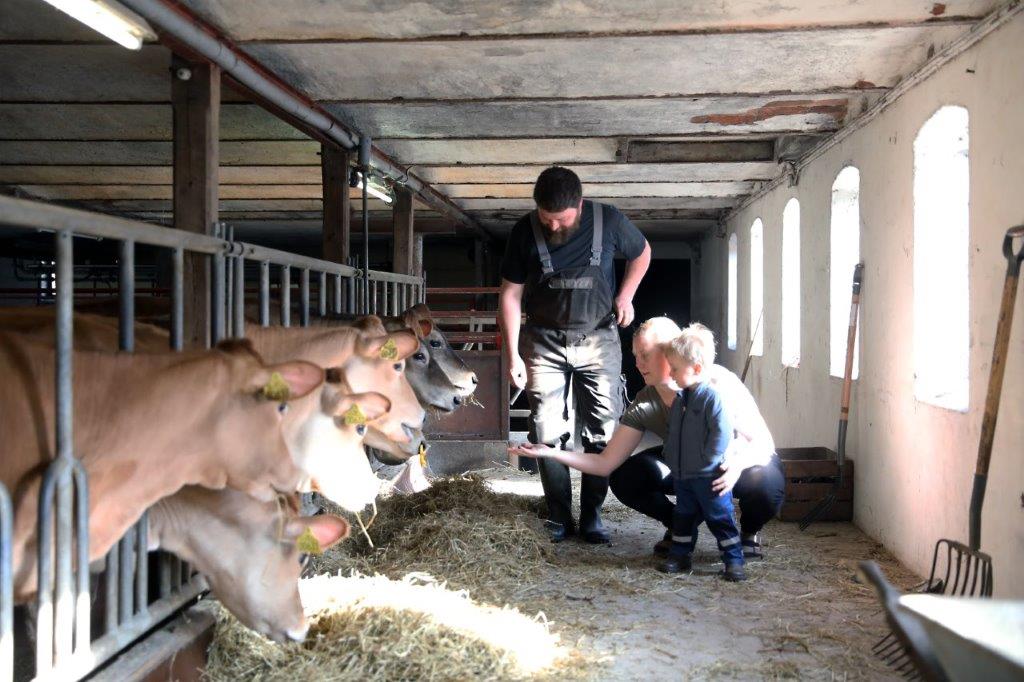 Ikke så meget bøvl i Bøvl