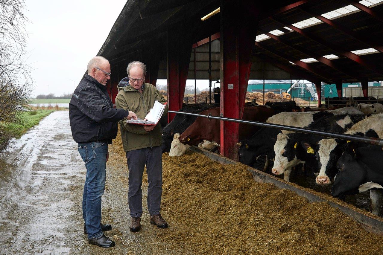 Ny mælk til klimabevidste forbrugere blev en kort og stormfuld succes