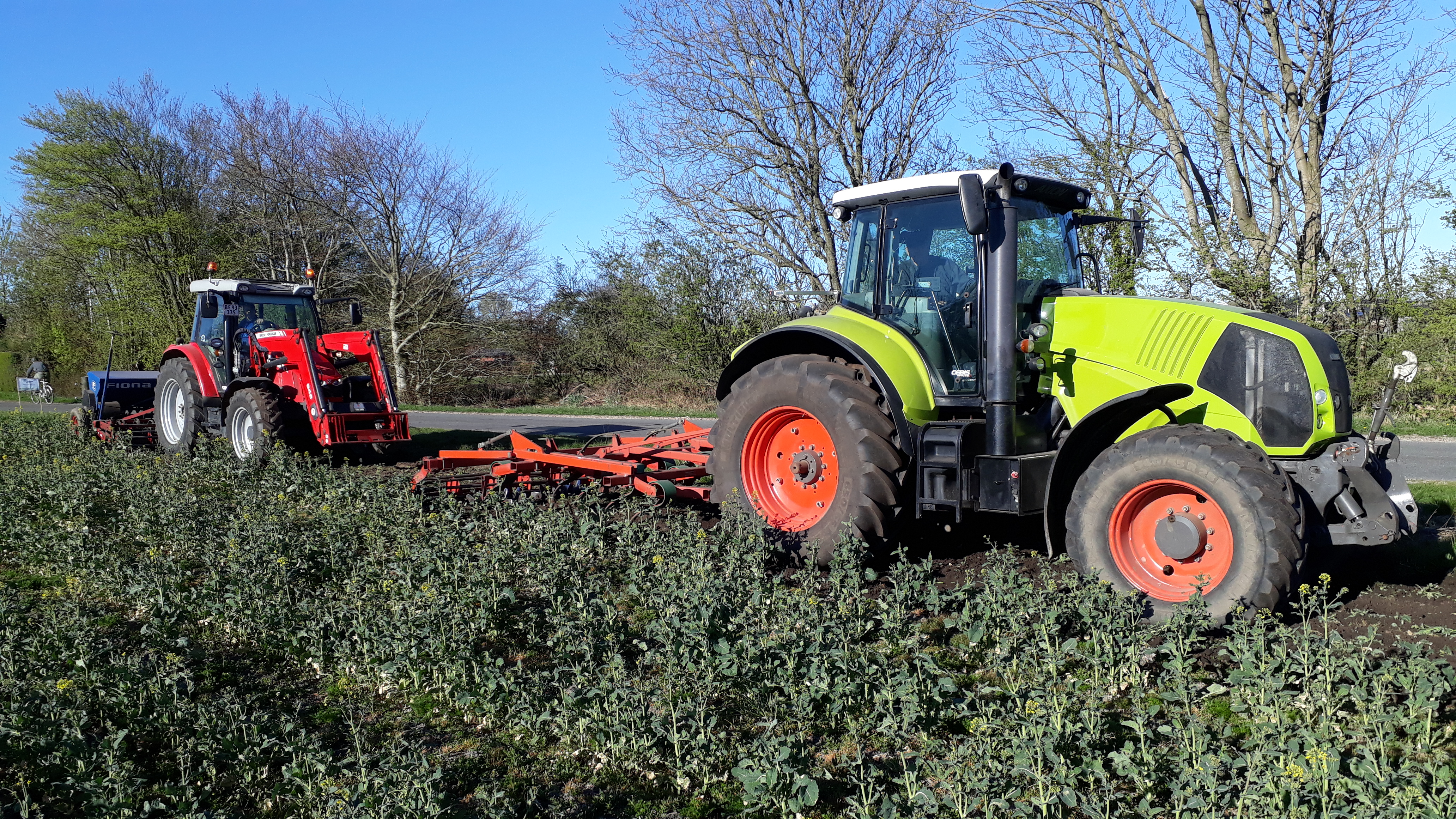 Jubilæum markeres med markblomster