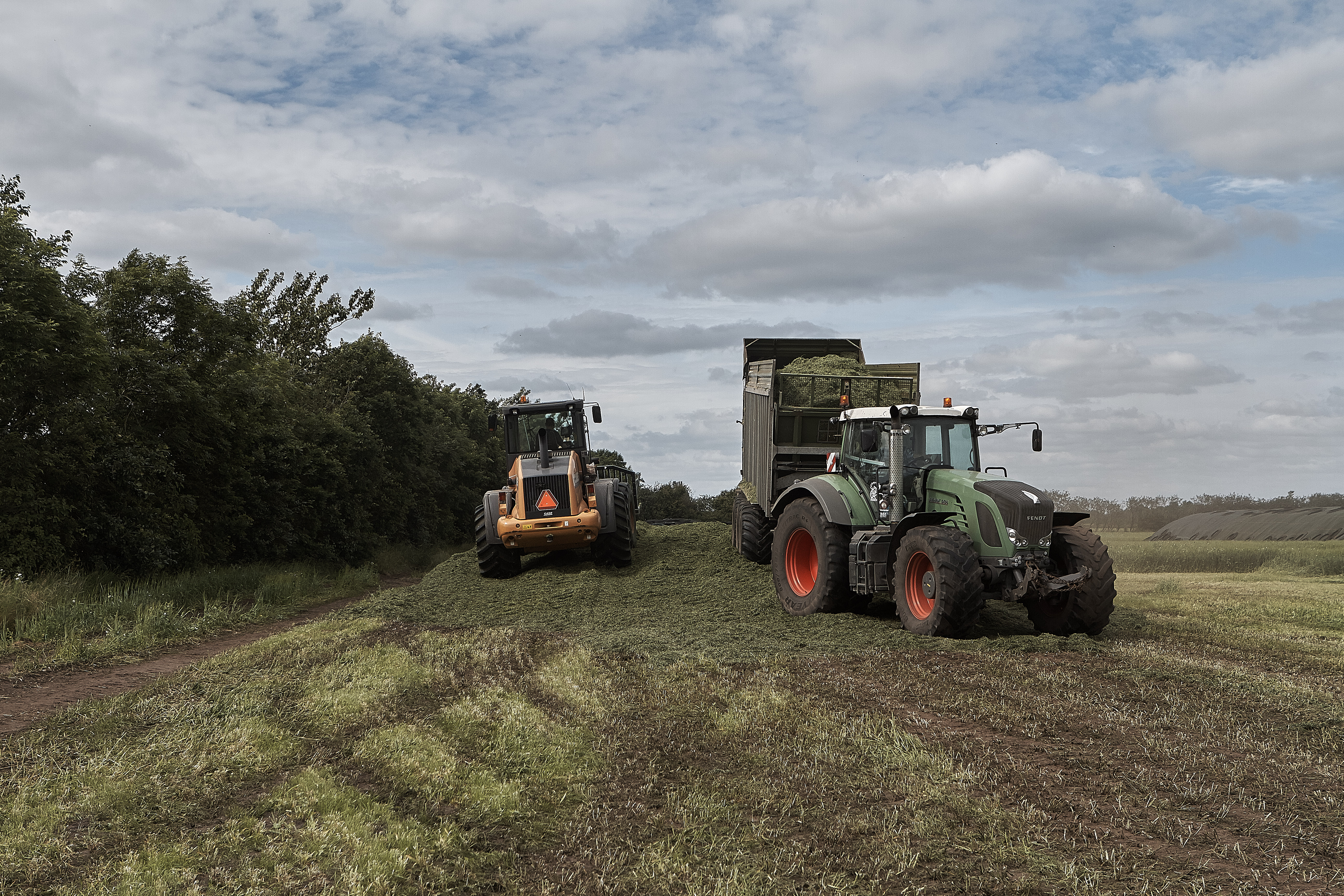 Find det bedste tidspunkt for første slæt