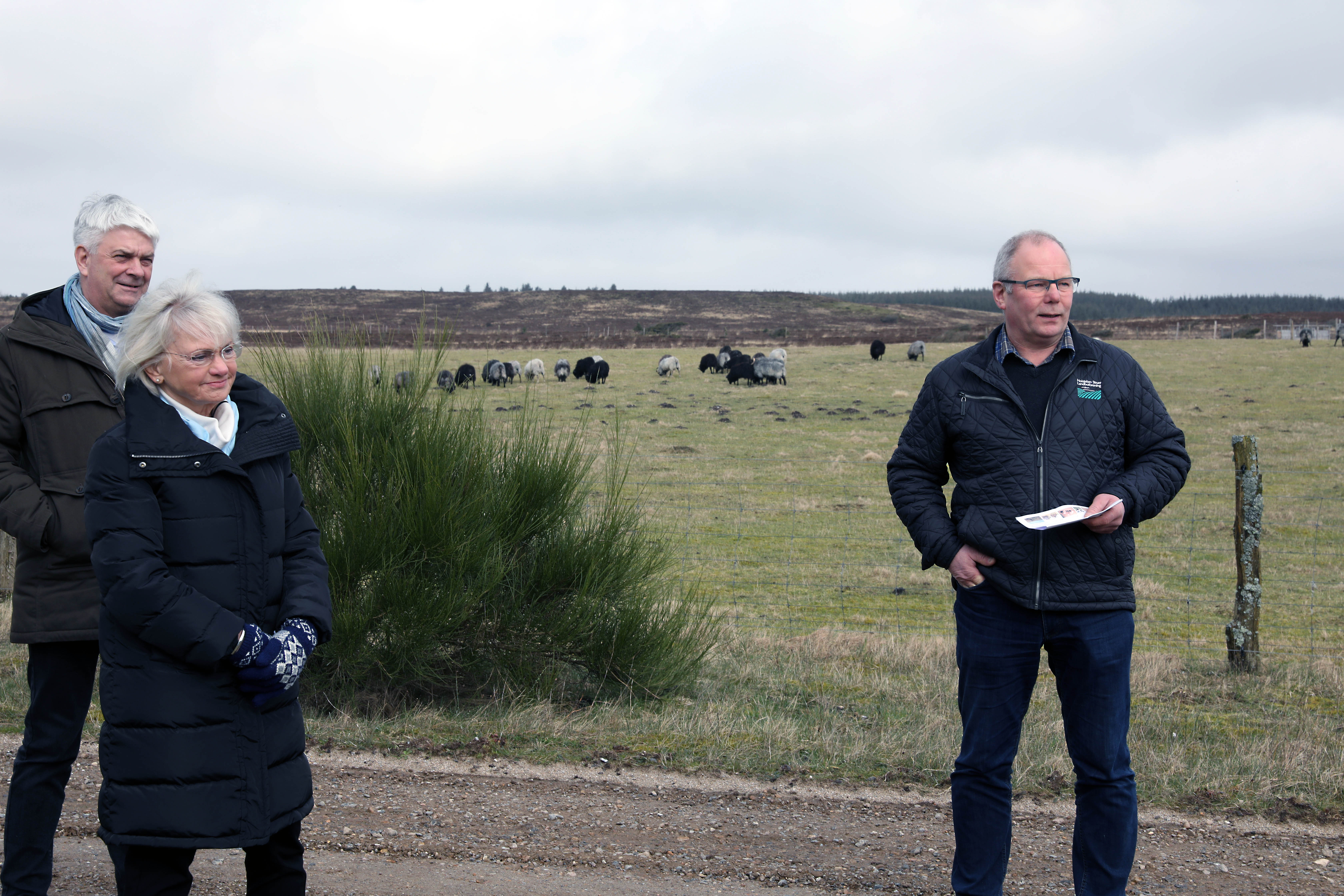Minister får byge af ulvespørgsmål