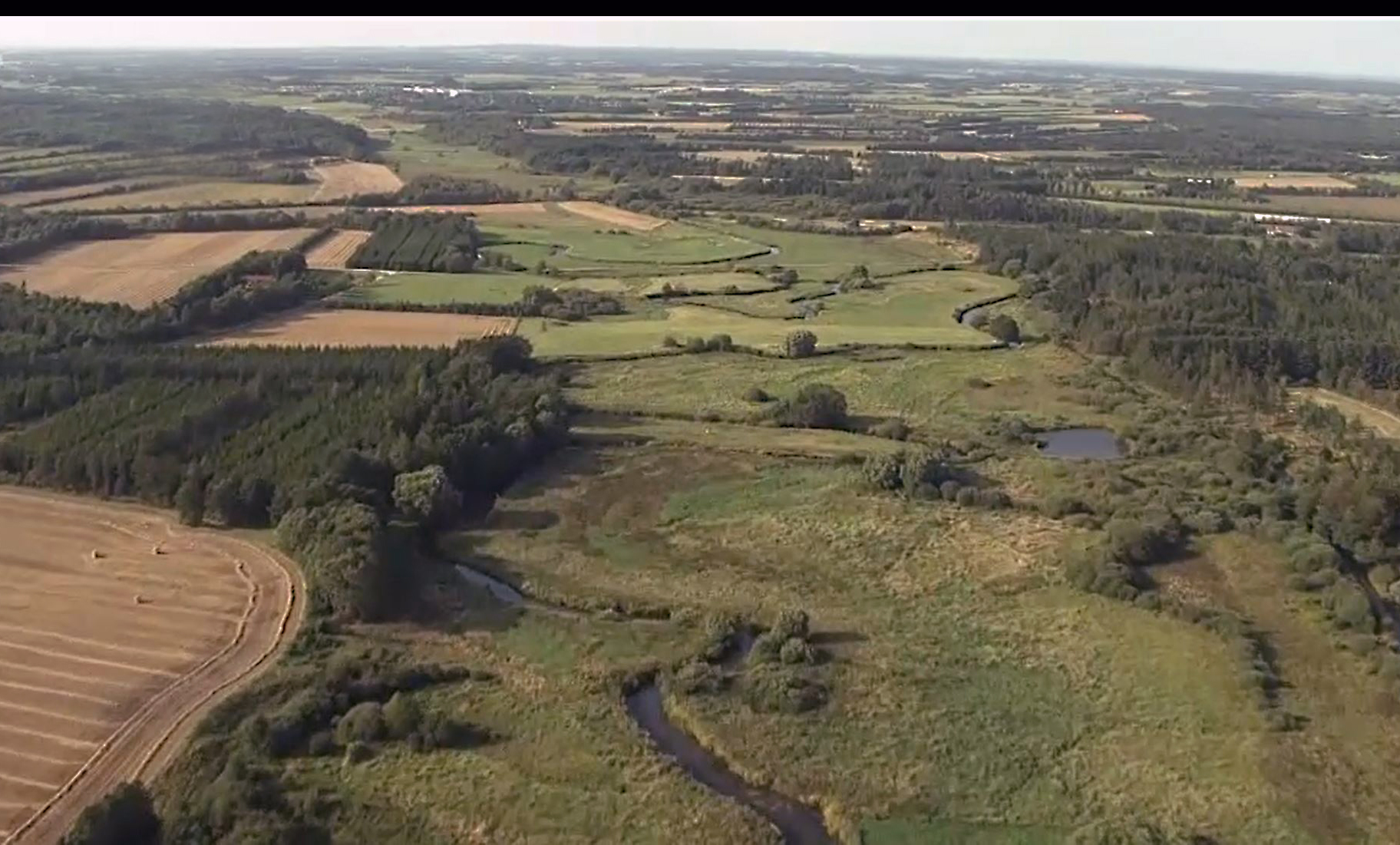 Etablering af Storå Komité