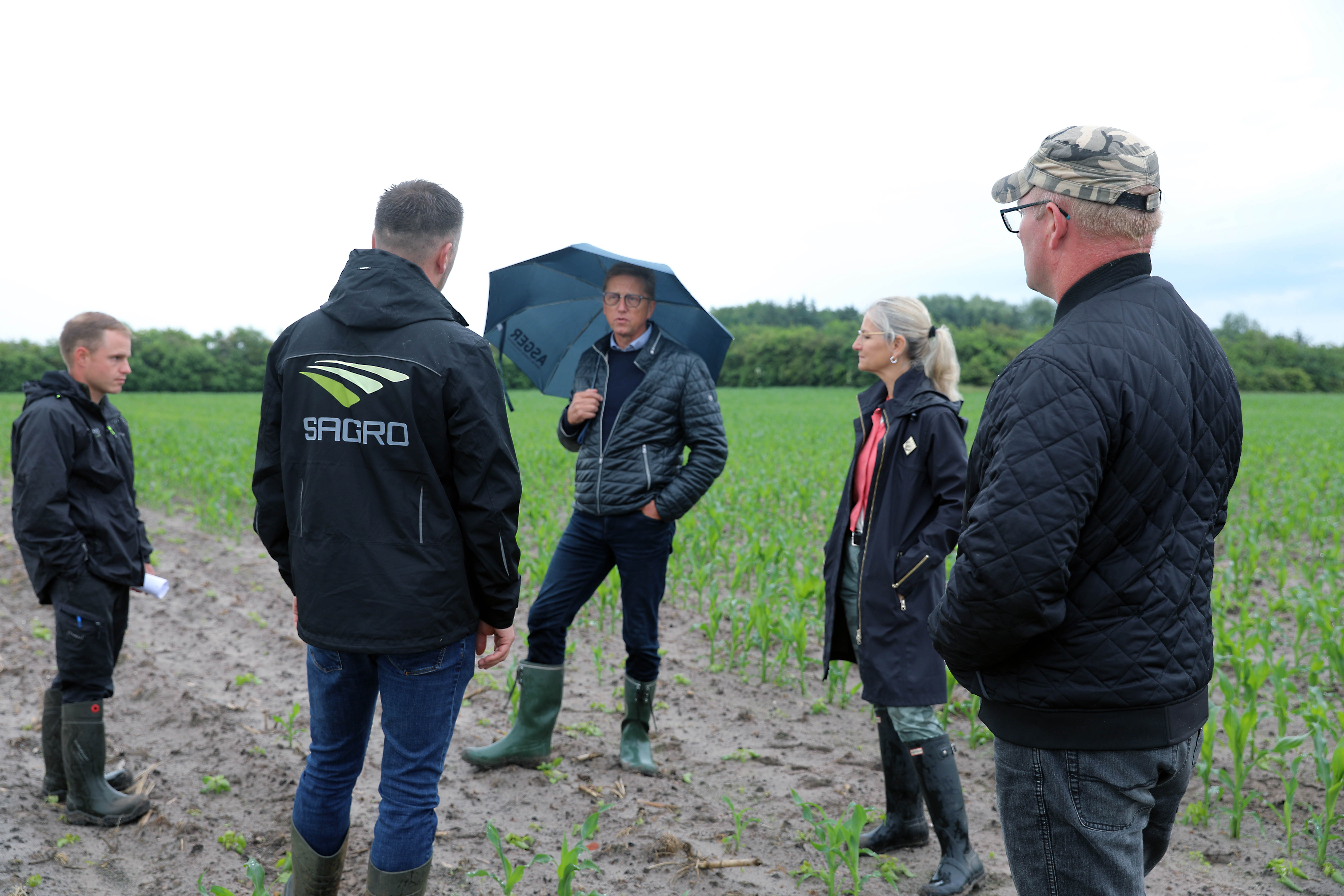 Nu går politikerne til gæssene