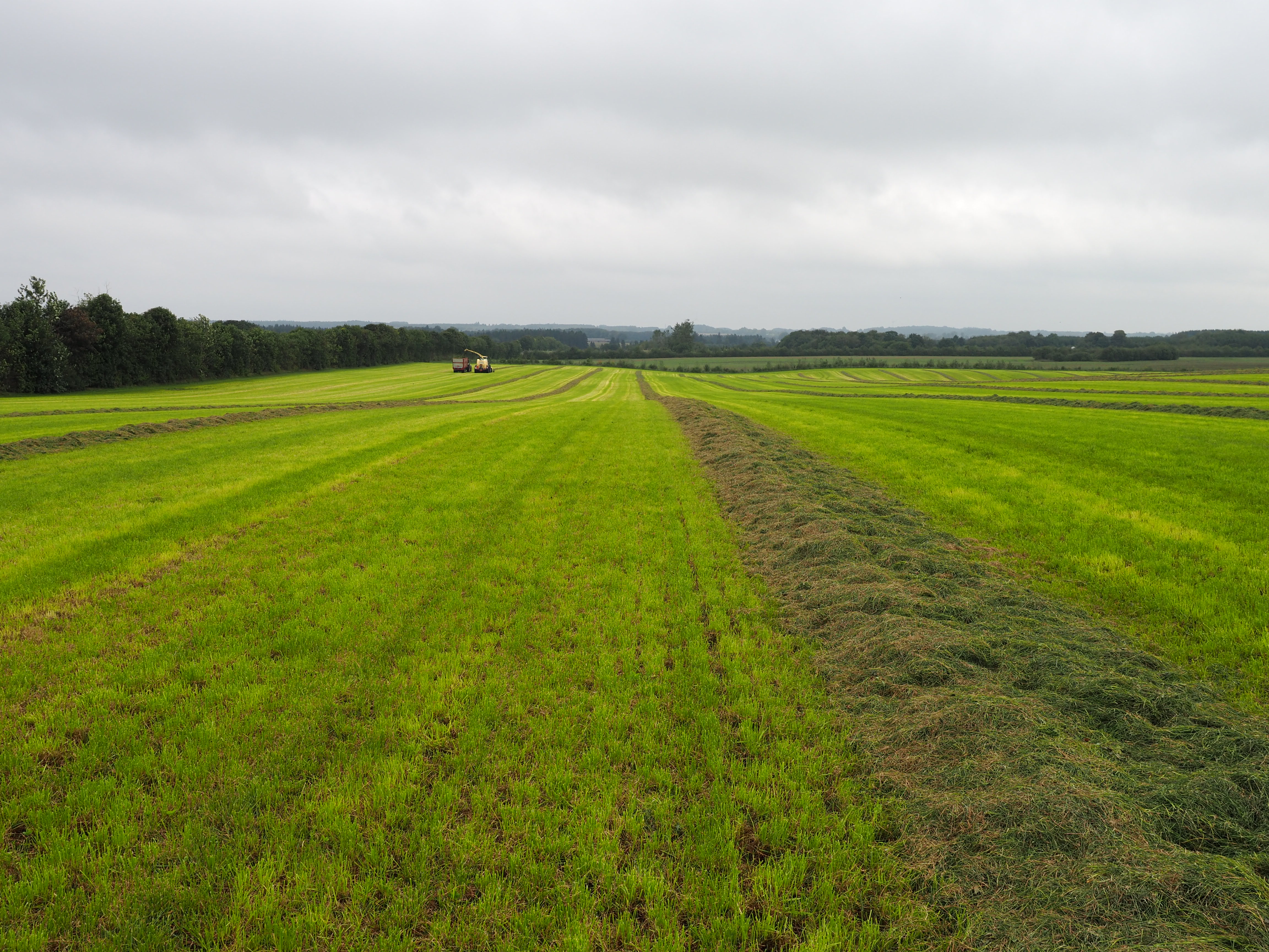 Benyttelse af ekstensive græsarealer MED/UDEN MVJ-tilsagn samt brak