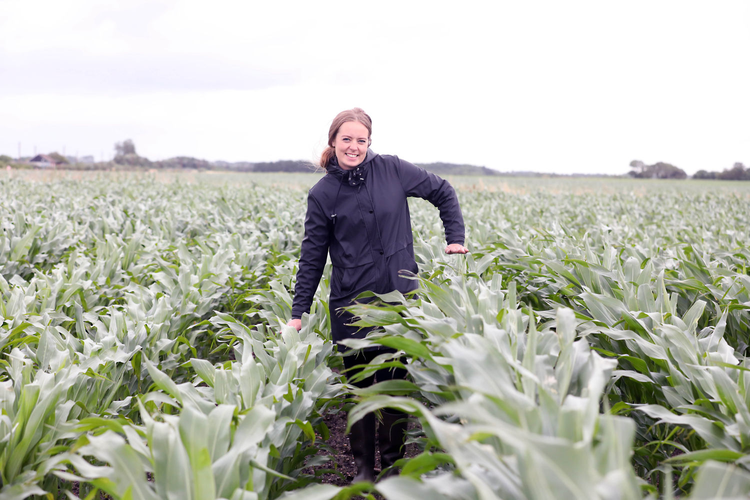 Majs med udfordringer