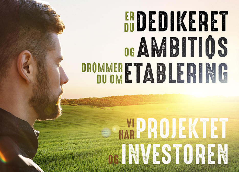 Kan du udvikle en kvæggård til at blive en af de største?