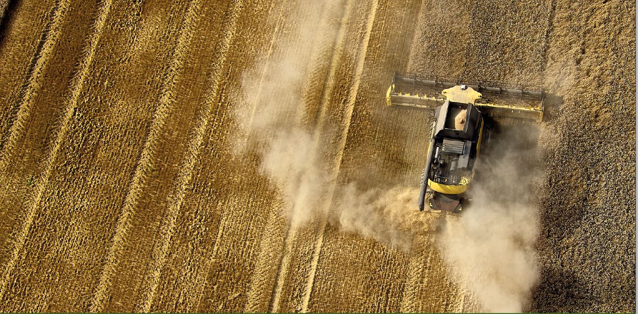 Mod på at gøre det bedre?