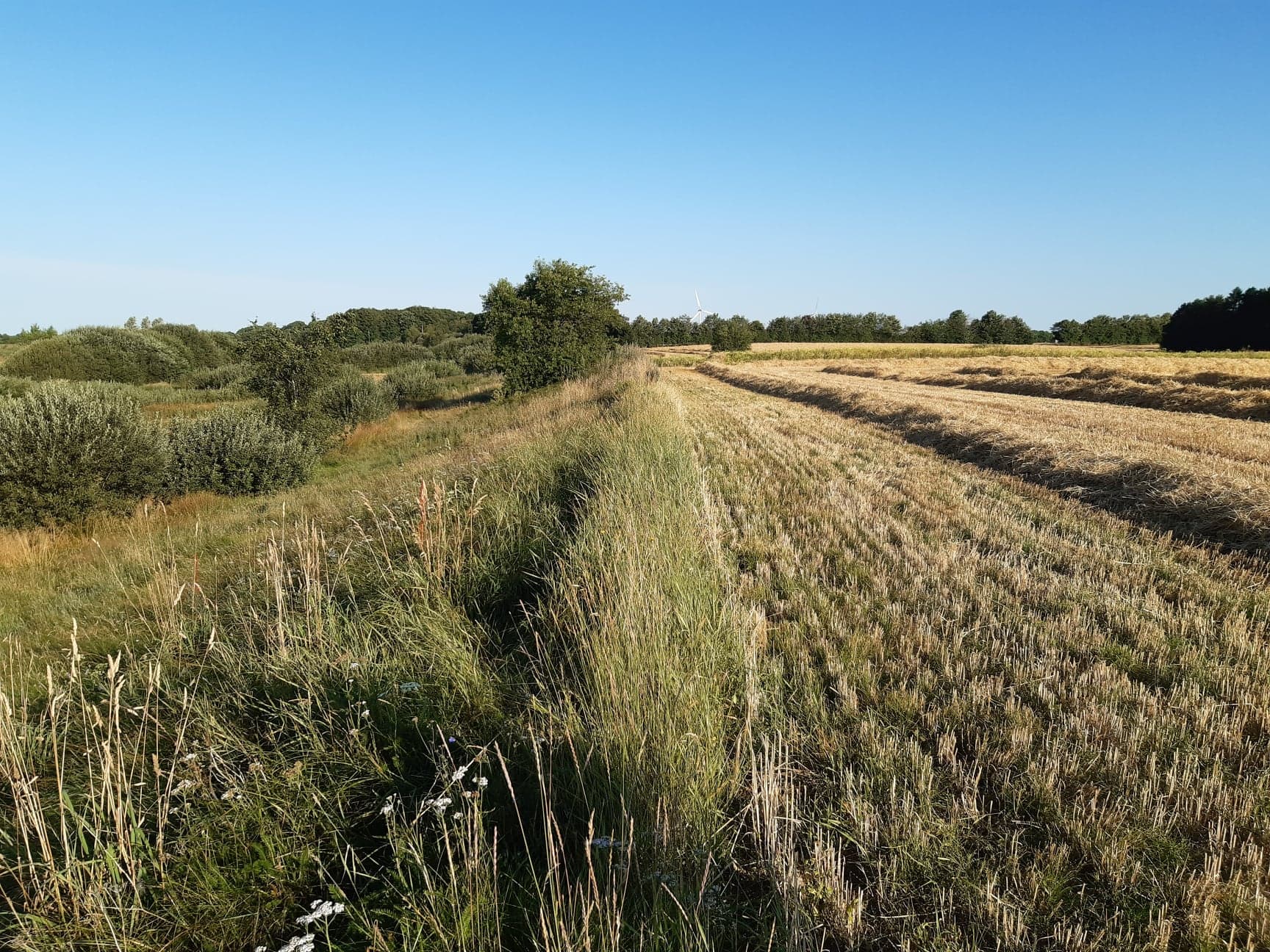 Overlap mellem §3-natur og marker kan koste dyrt