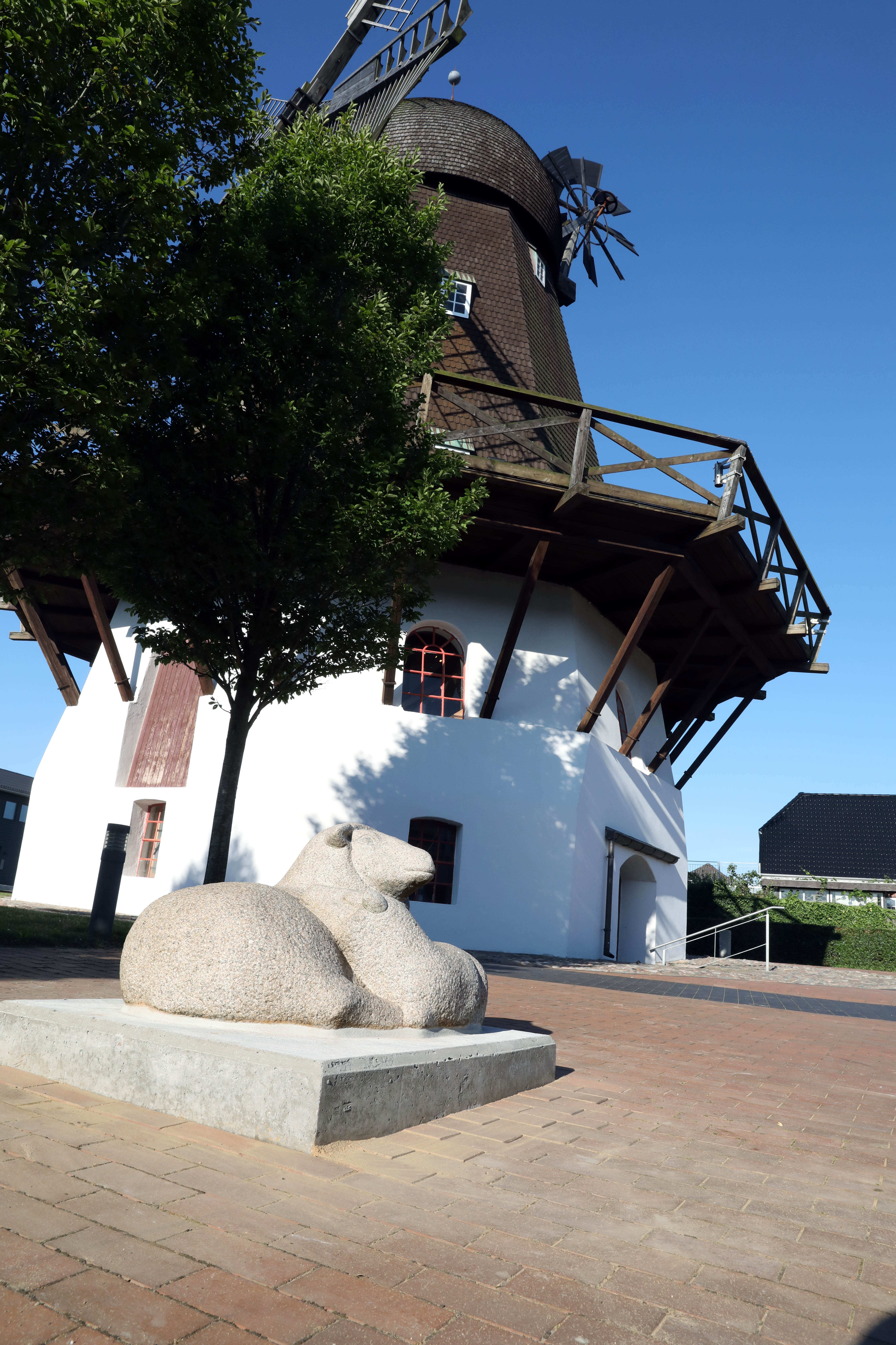 Aulum Mølle får får - og lam