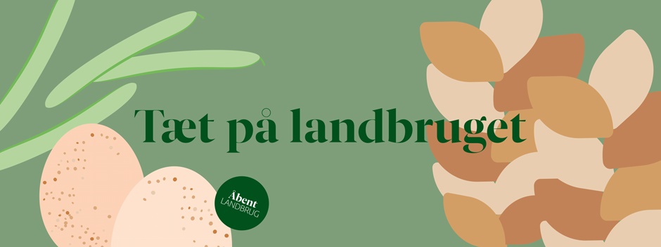 I år bliver Åbent Landbrug også en digital oplevelse