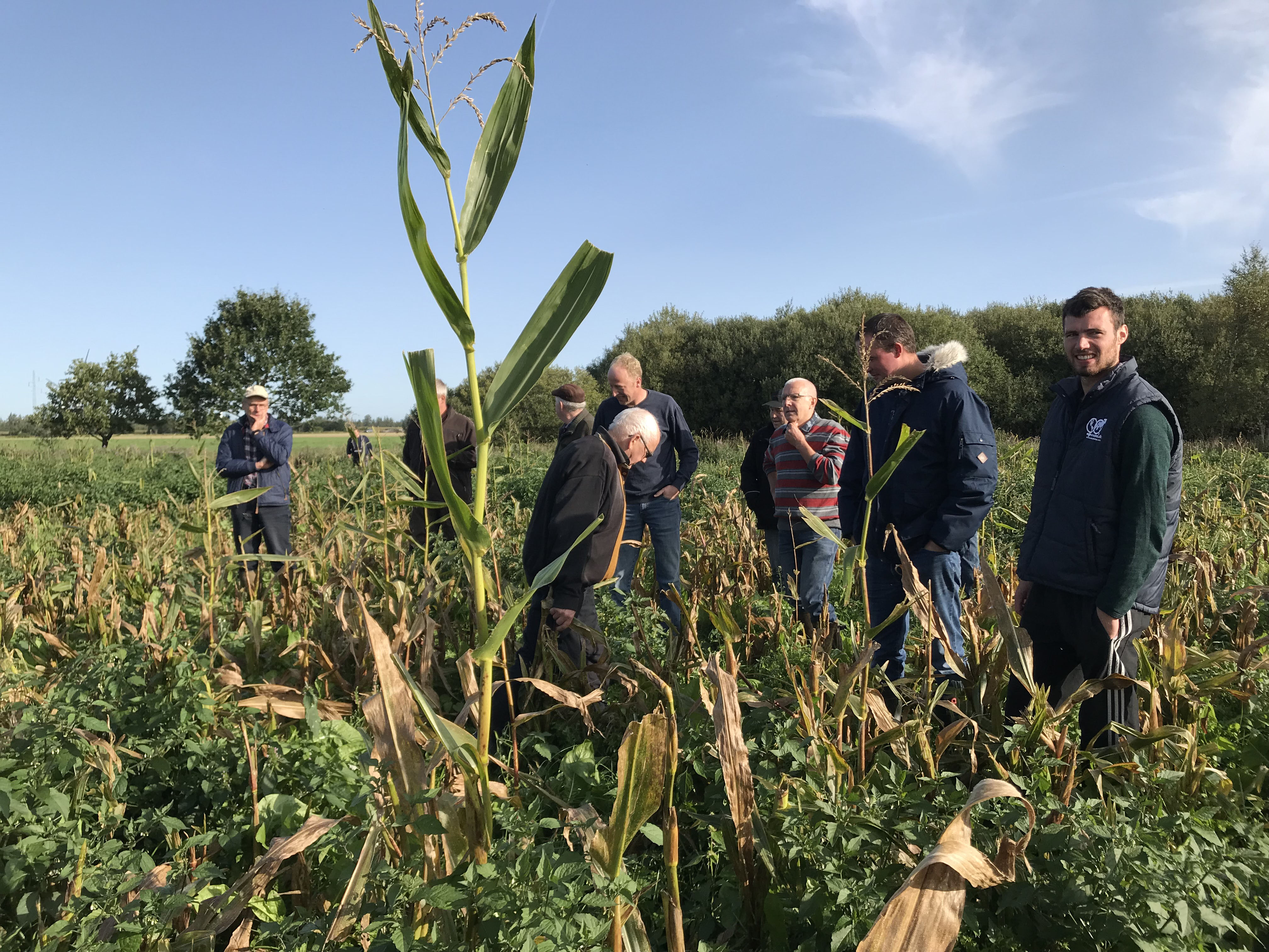 ”Det er lidt vildt”