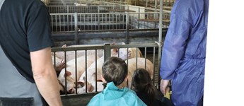 Åbent Landbrug: Sådan bliver der arbejdet i en svineproduktion