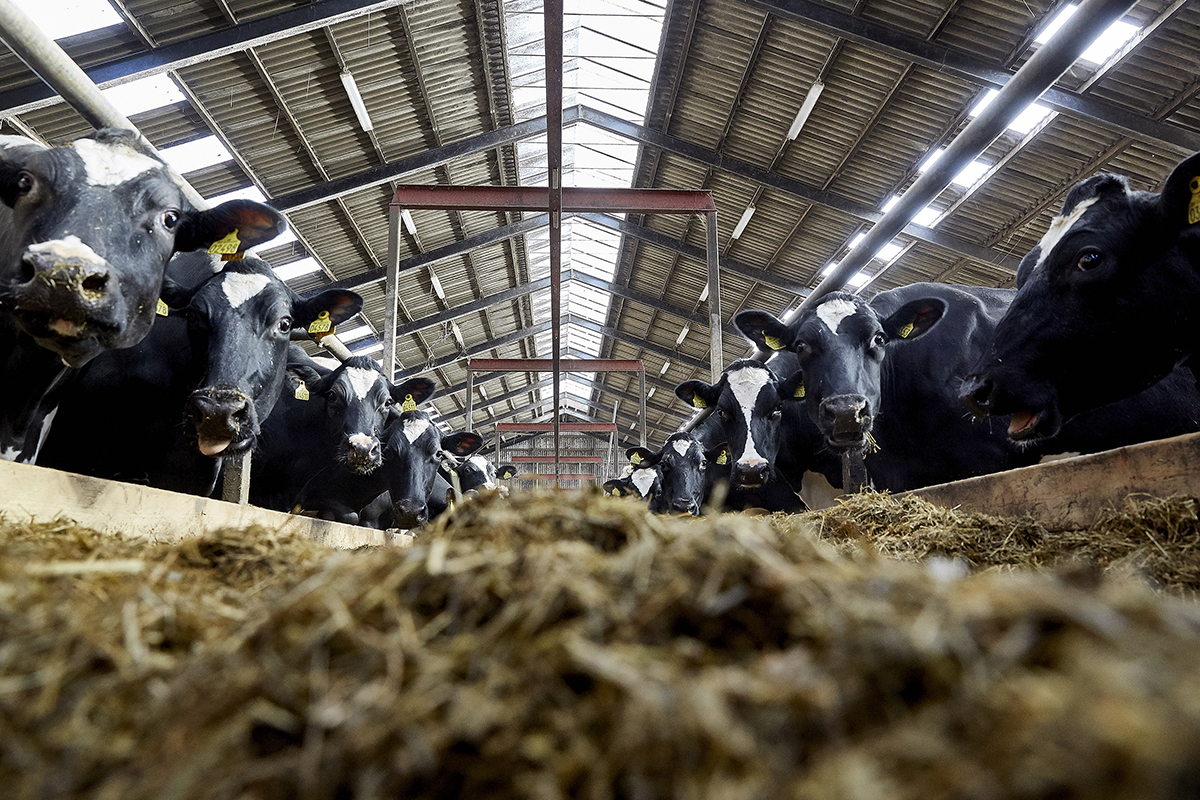 Har du styr på din vinterfodring?