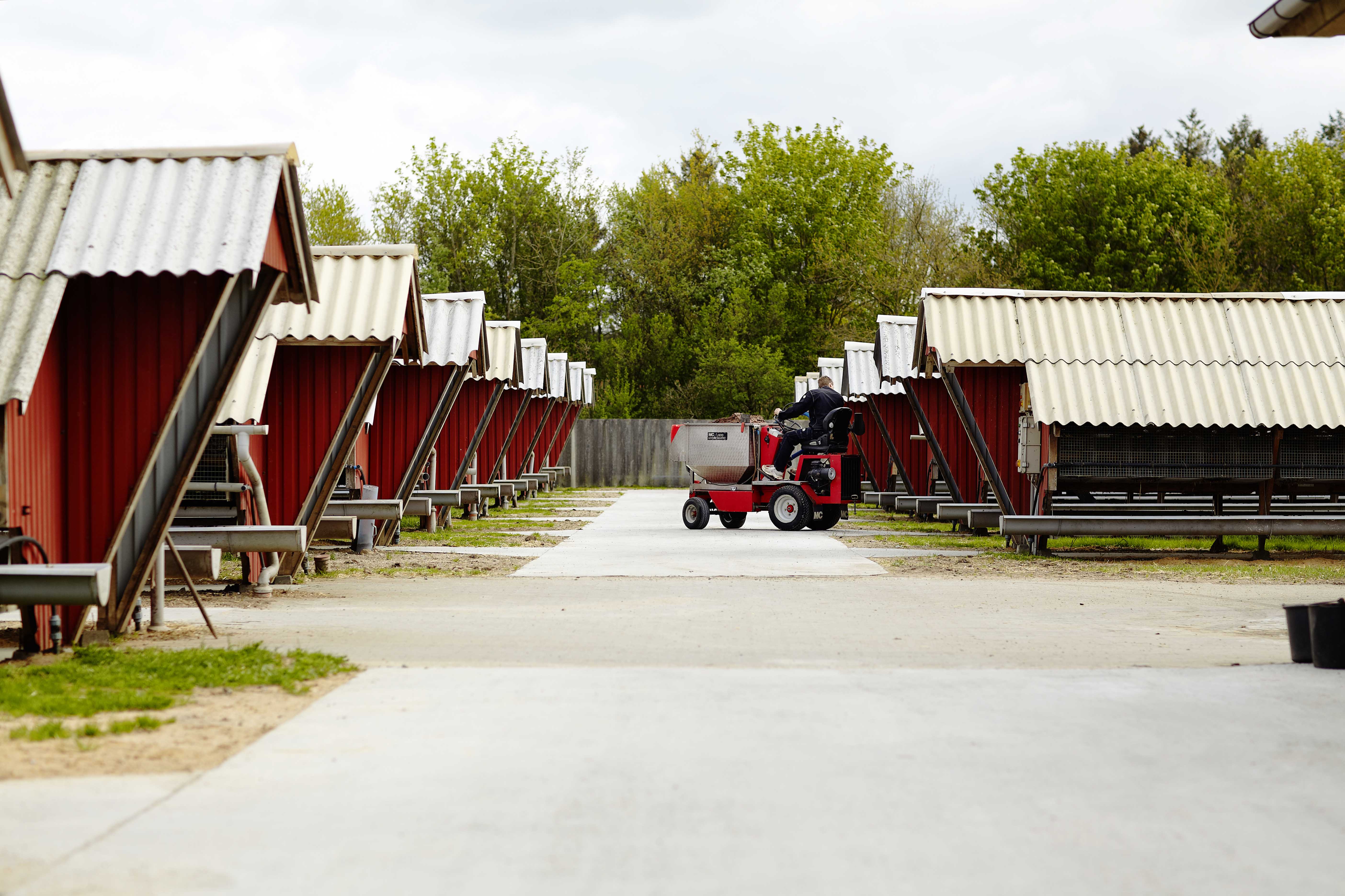 SAGRO tilbyder netværksgrupper for minkavlere og ægtefæller