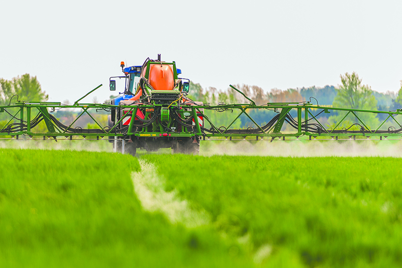 Stor tilfredshed med abonnement