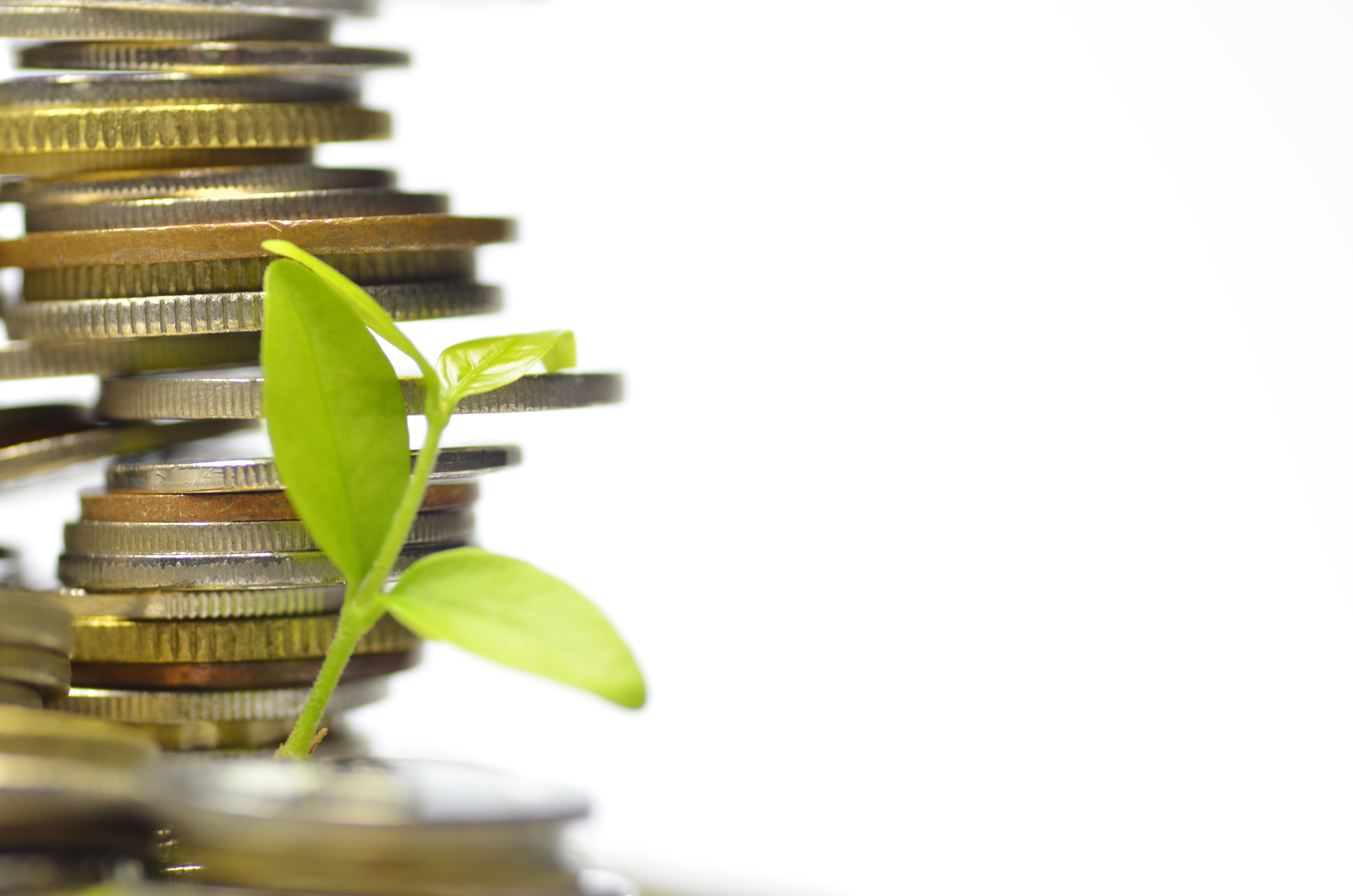 I år genåbner to tilskudsordninger til energibesparelser