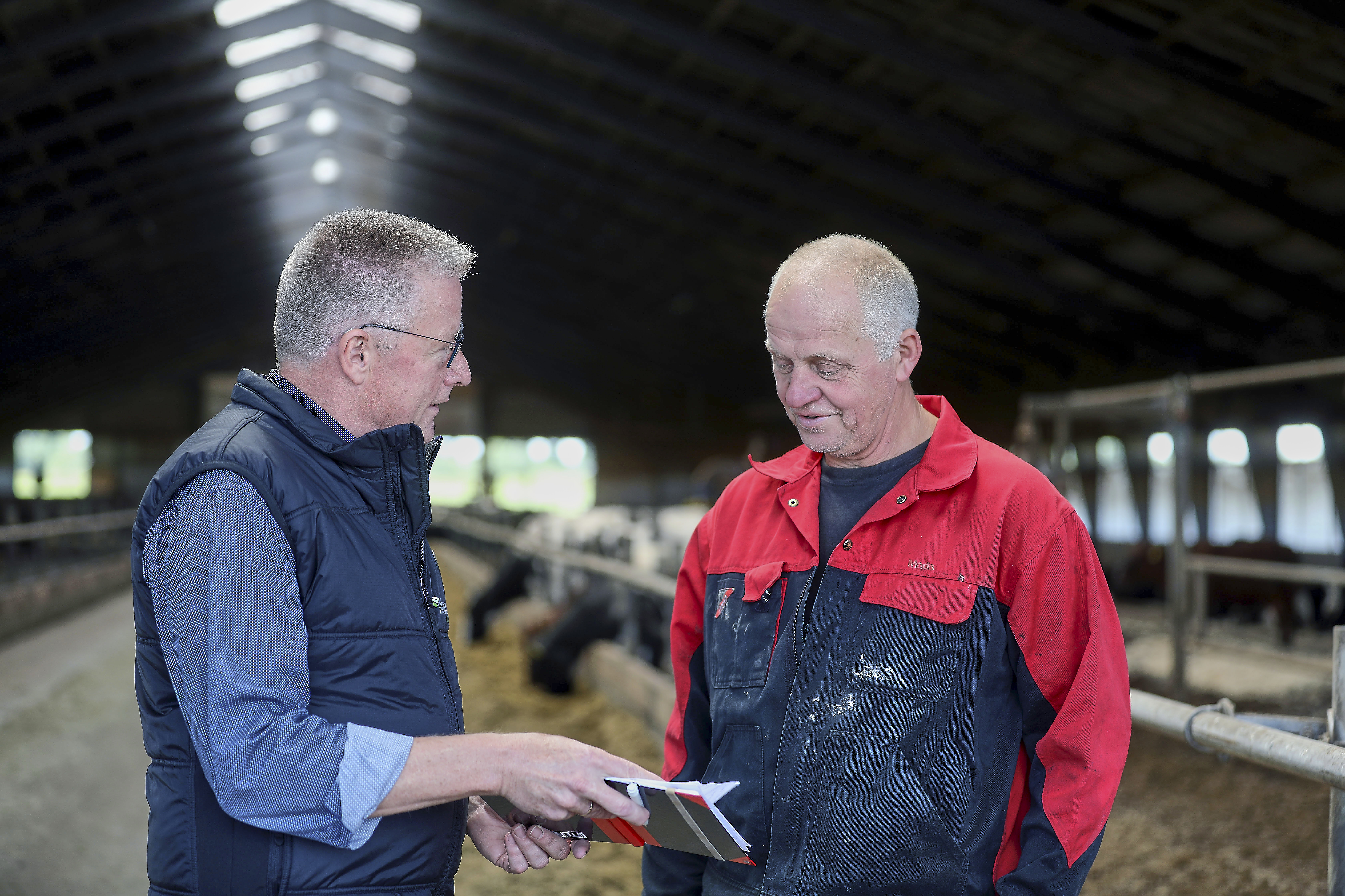 Stor effekt af freelance-ledelsesrådgiver