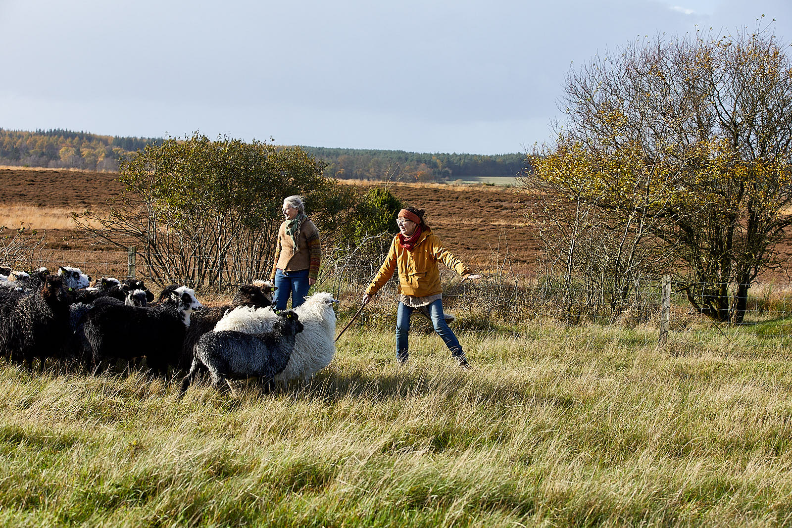 Varsom naturpleje værdsættes ikke