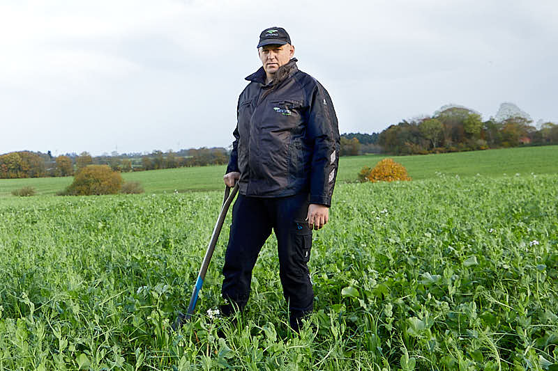 Lad efterafgrøder gro længst muligt