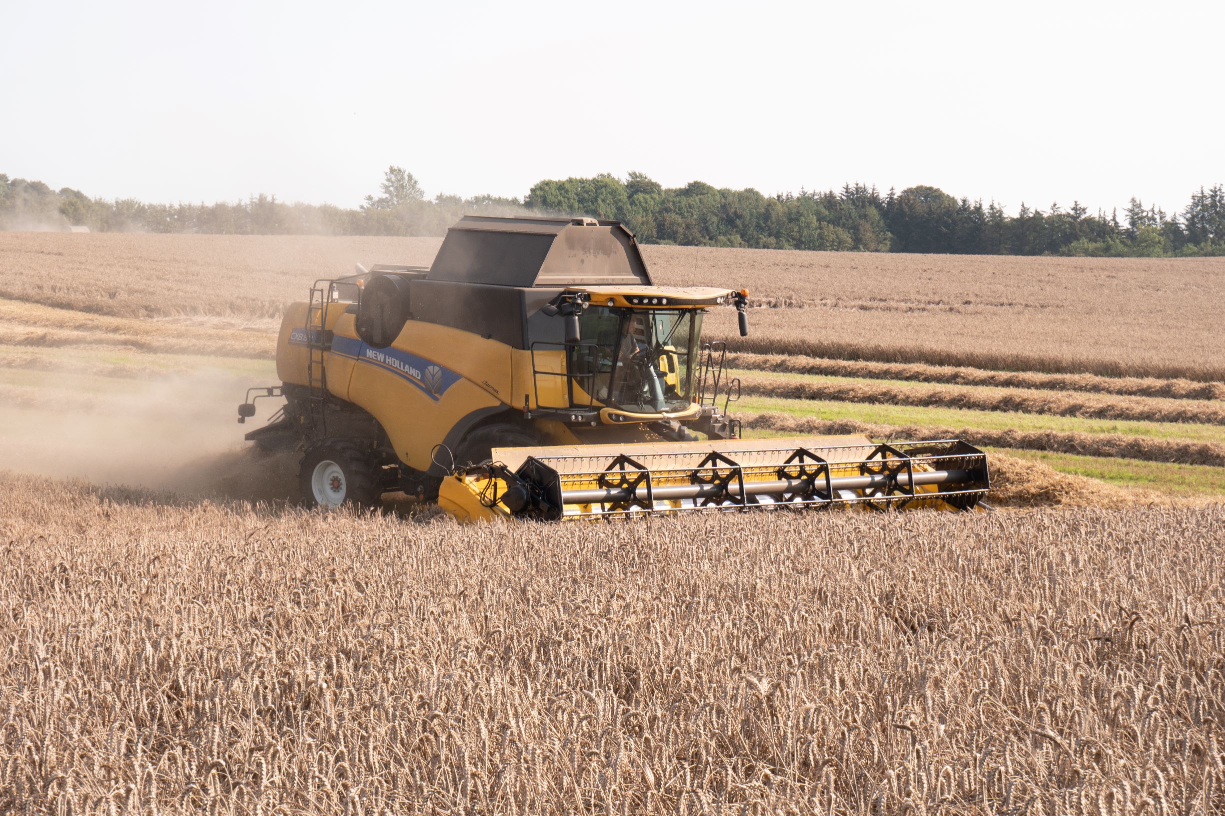 Opfordring fra SEGES: Send os dine udbyttedata