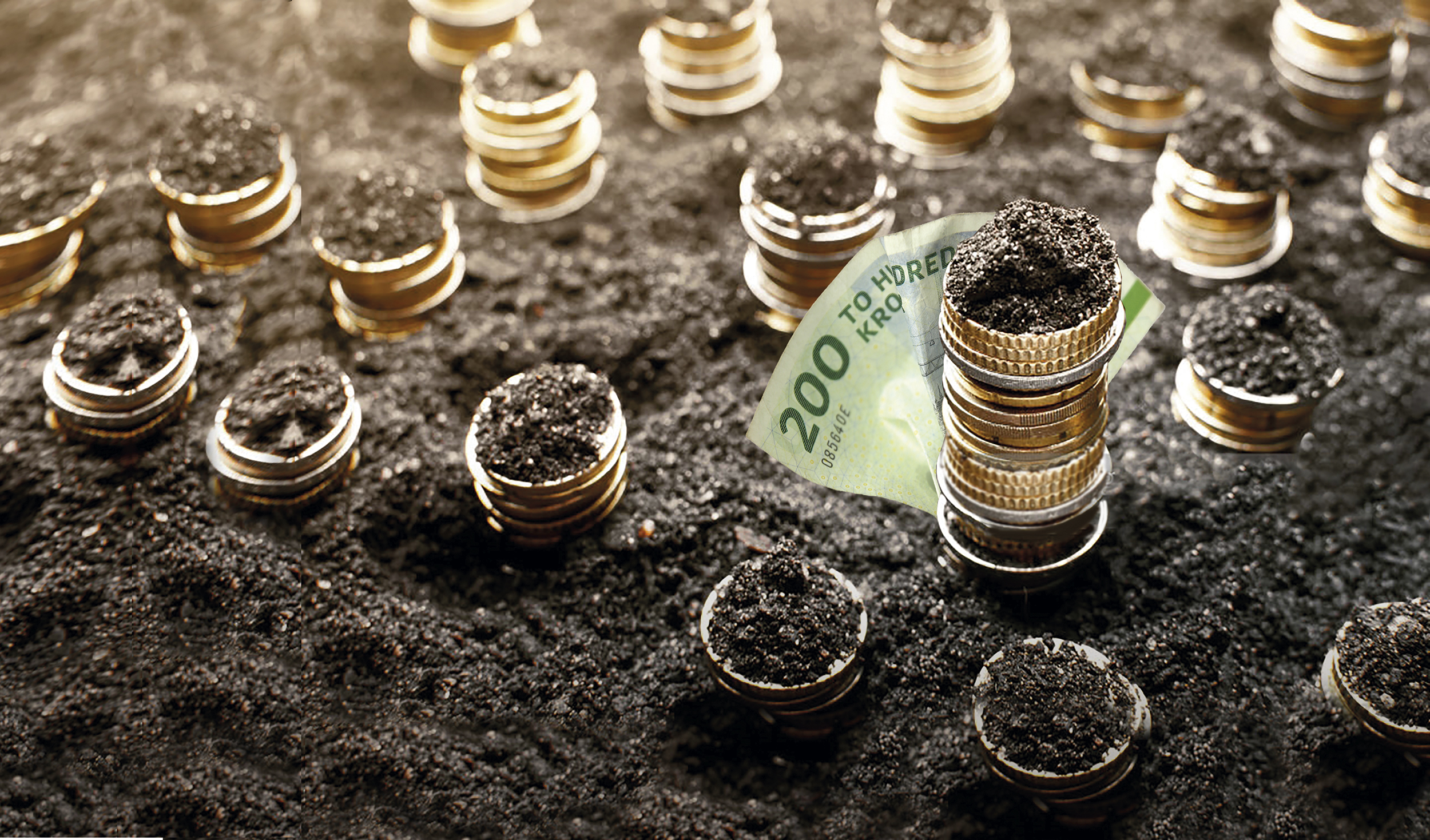 Er du interesseret i en investor?