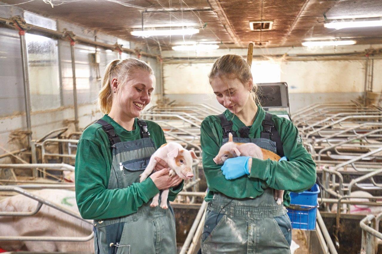 Droppede ”farmerdansk” og indførte dansk som arbejdssprog