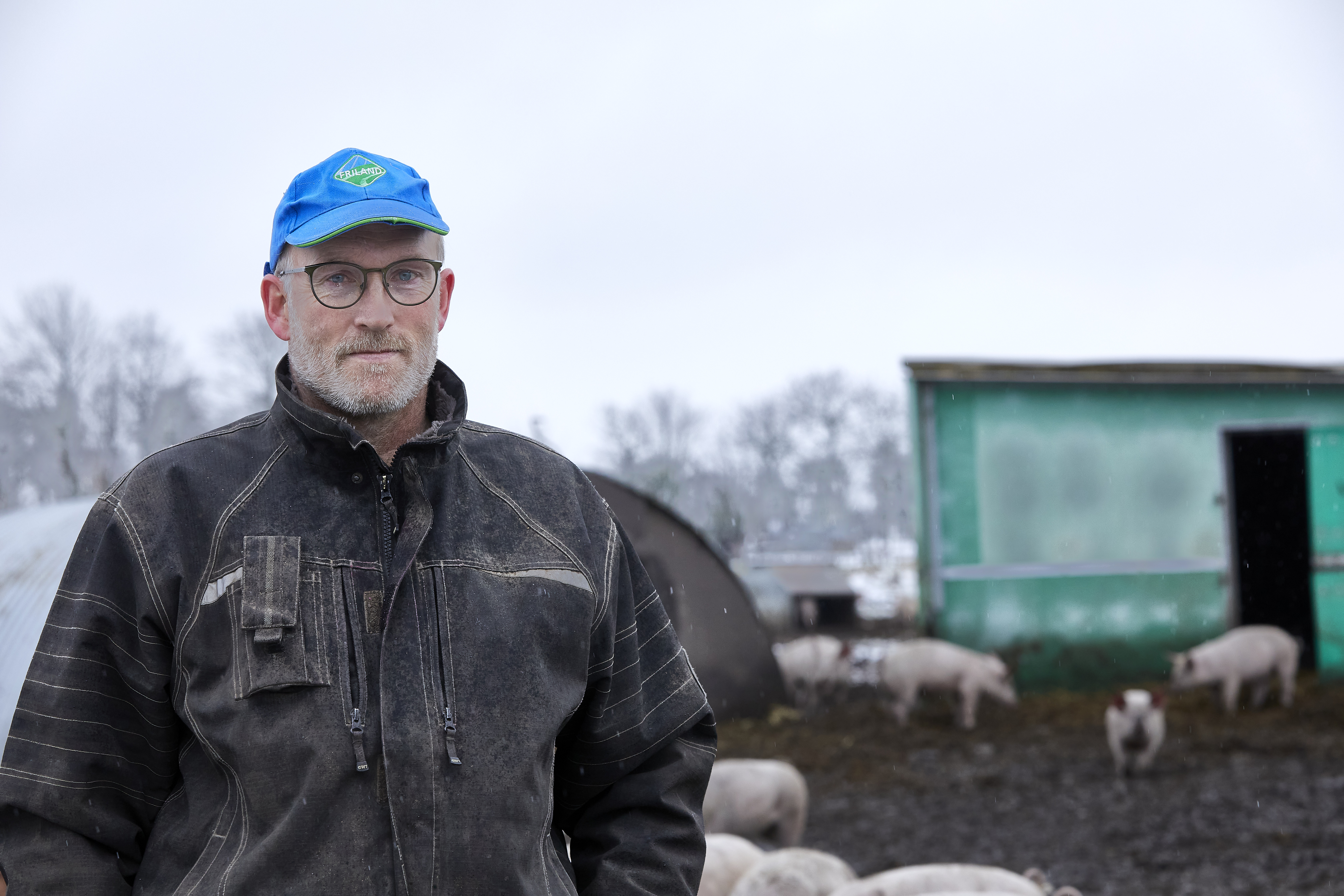 På vej mod mindre klimabelastning fra grise på friland