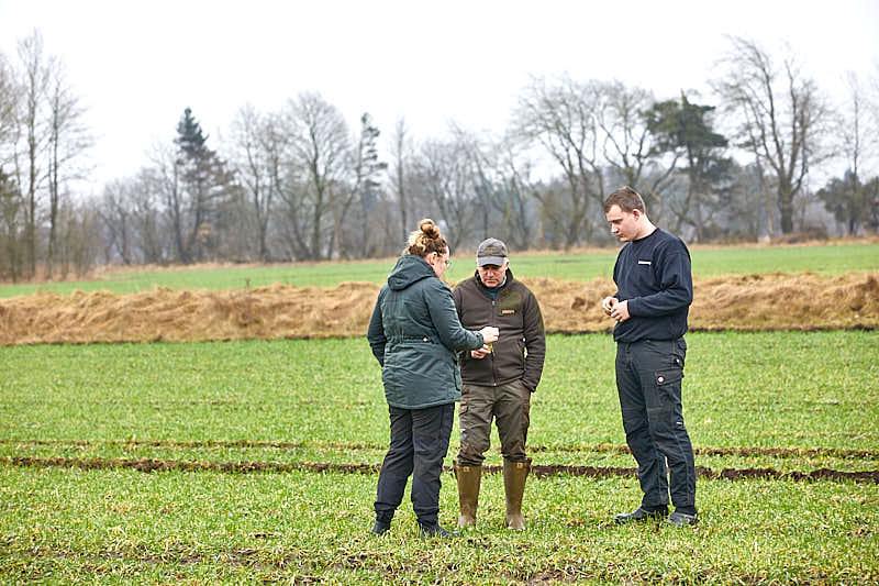 Rådgivere lægger hånden på kogepladen