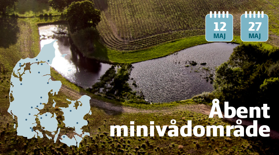 Kan du lave et minivådområde?