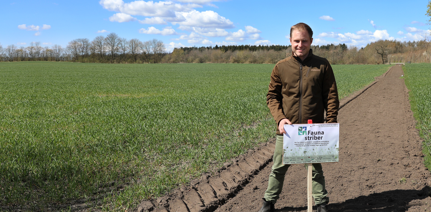 Så er det tid til at få sået Faunastriber