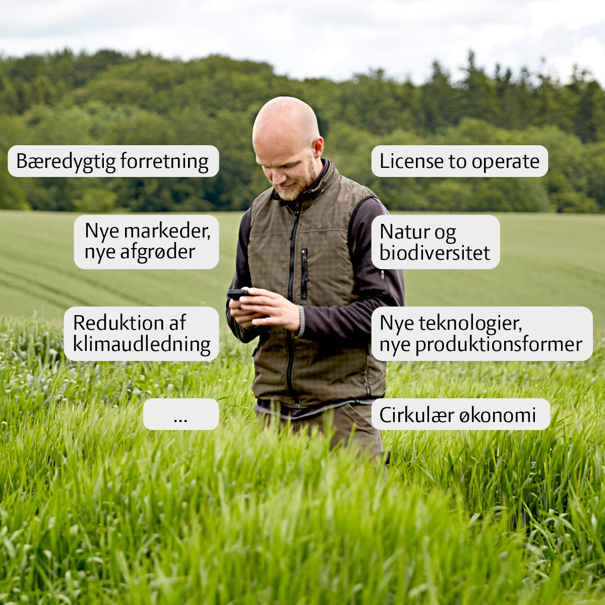 Bliv en del af et inspirerende online-netværk om bæredygtighed