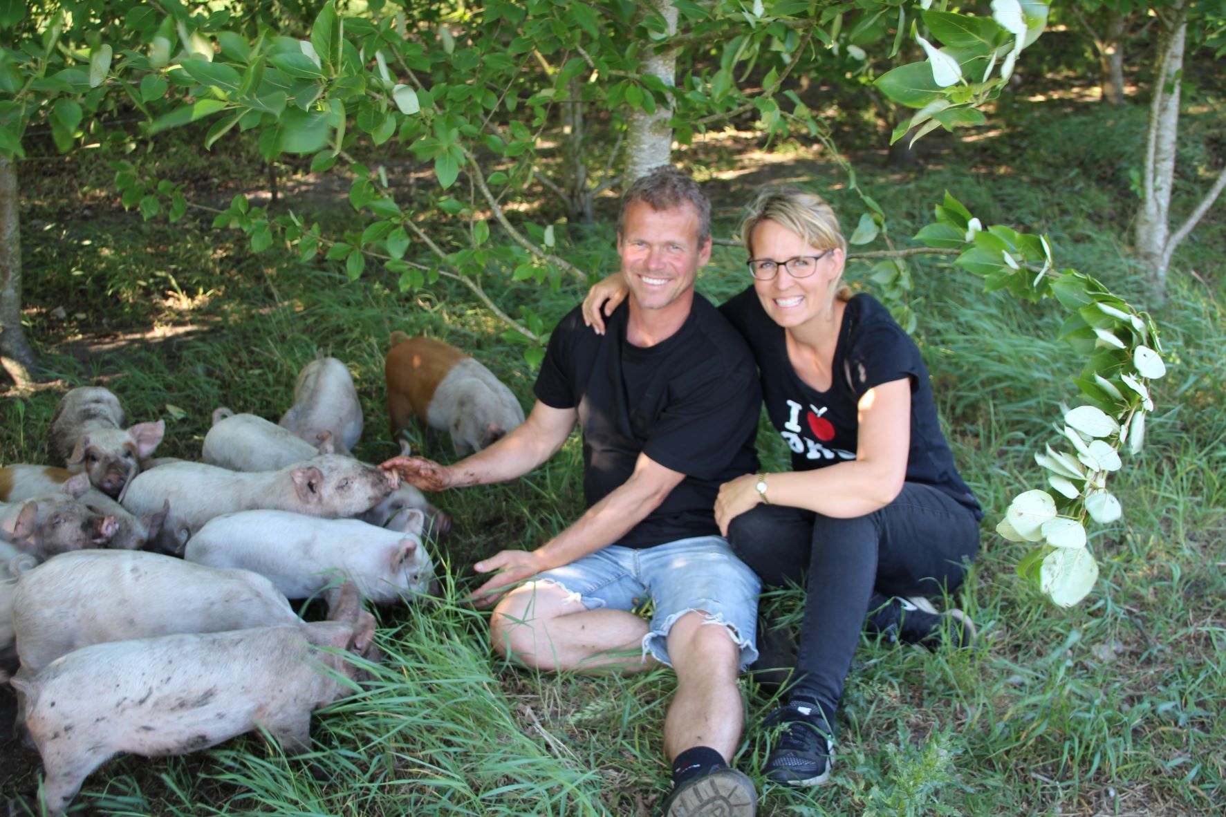 Spis et måltid hos bonden – og bliv klogere på landbruget