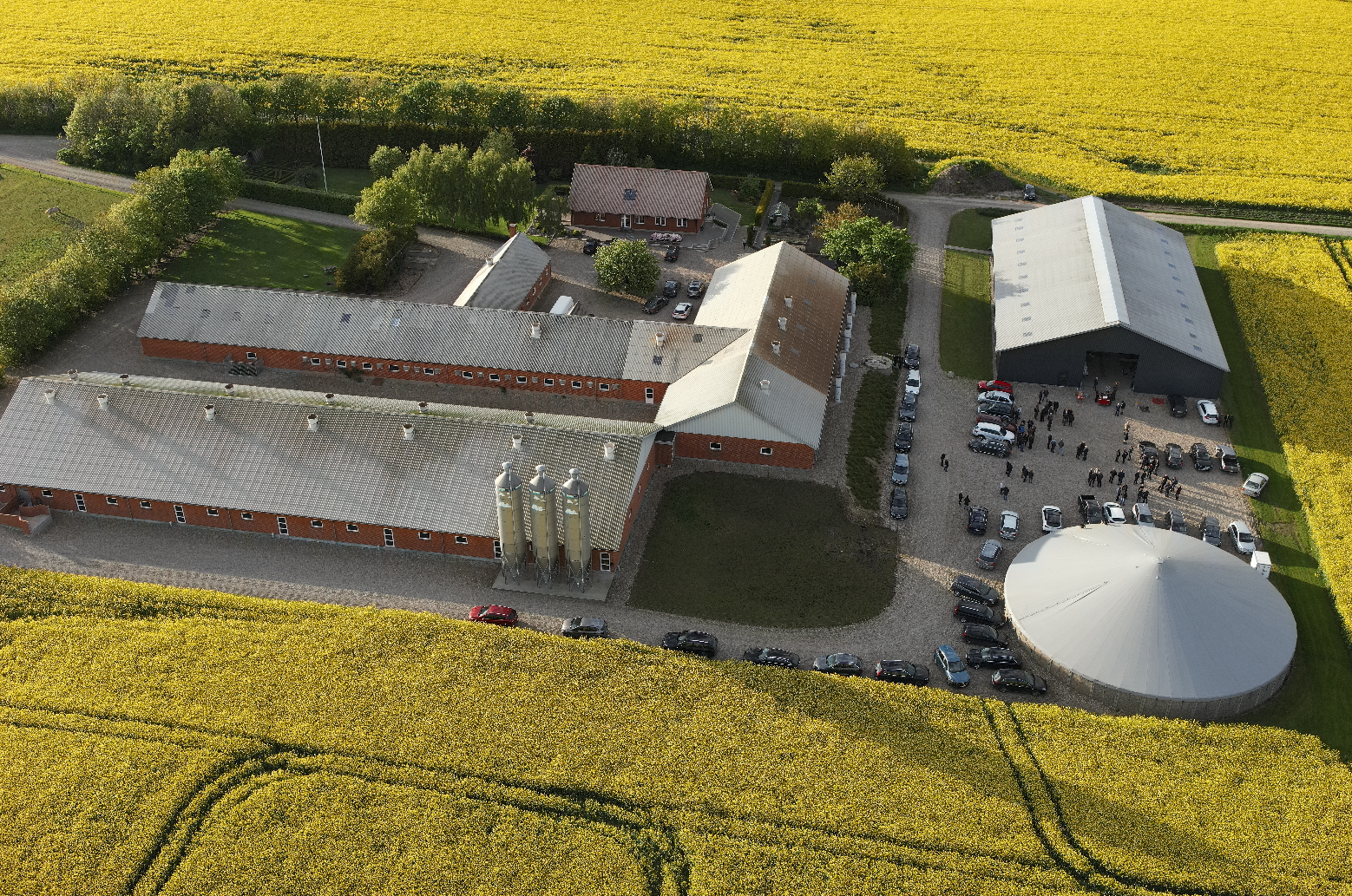 Natur og effektiv planteavl er ikke hinandens modsætninger