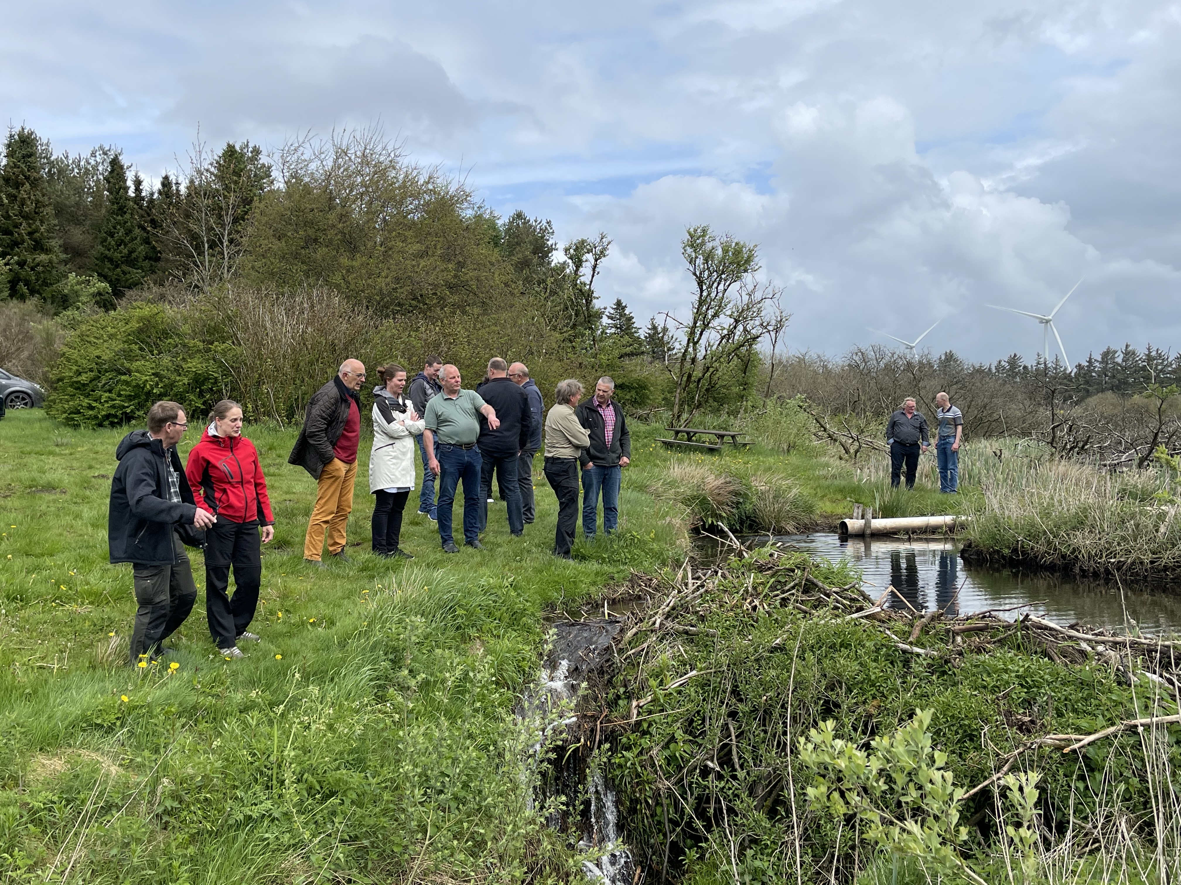Bæver problemer: Naturstyrelsen har været forbi 1-2 gange om ugen i 20 år