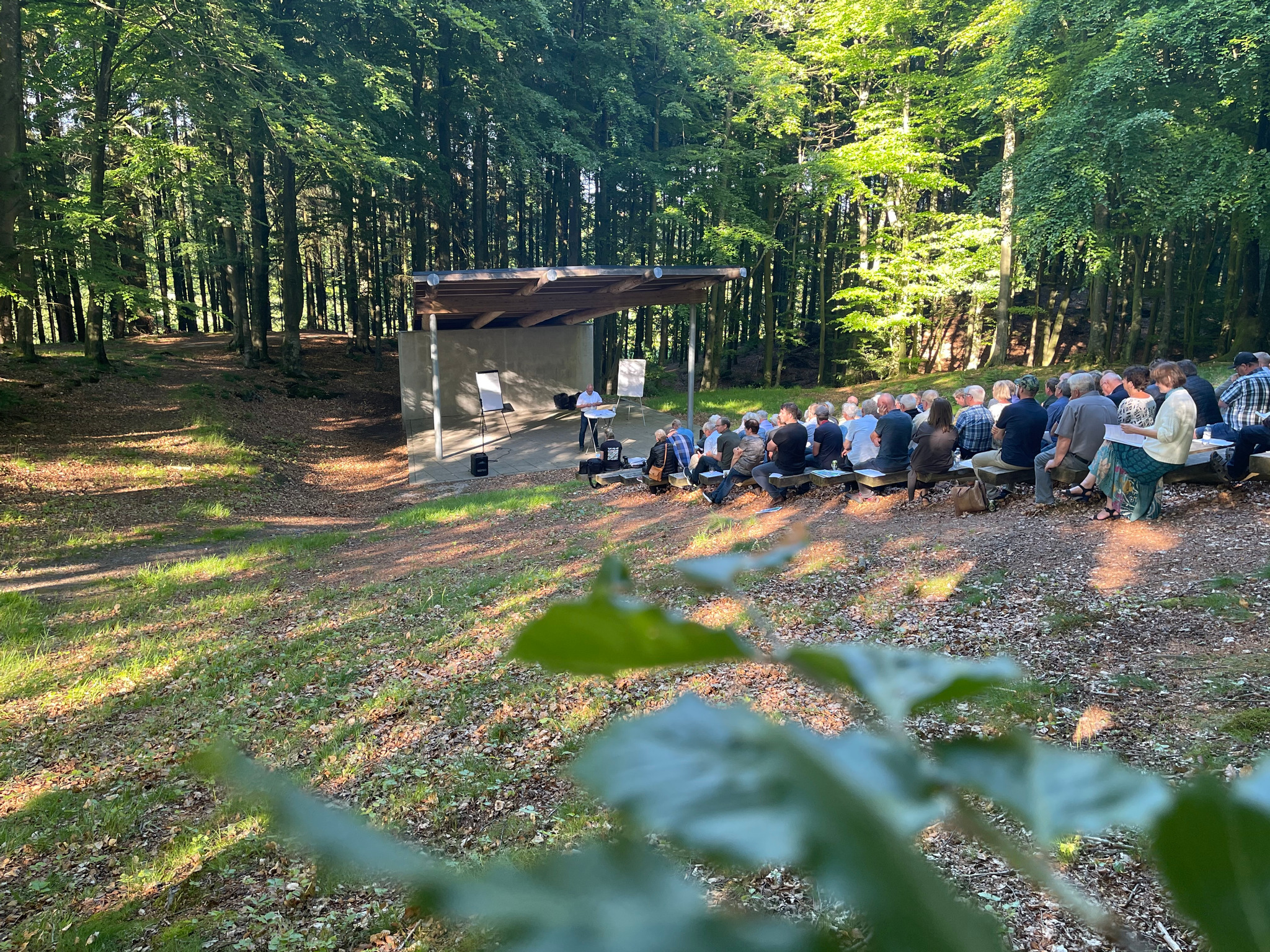 Bøgetræer og fuglesang som kullise for dyster beretning