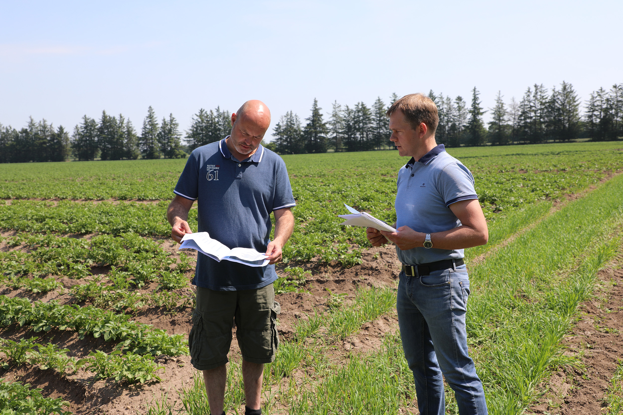 Det betaler sig at være på forkant med markedsbevægelserne