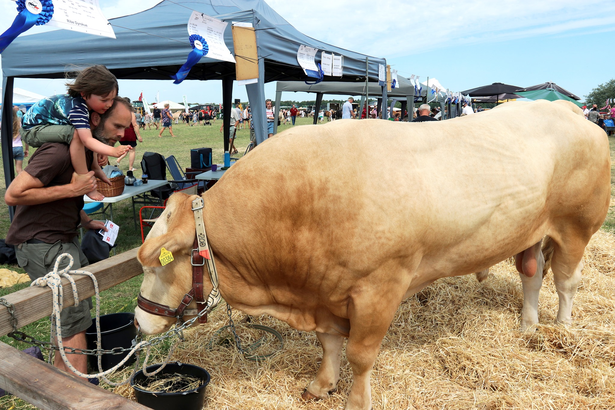 Invitér hele familien på en udflugt til Ribe Dyrskue