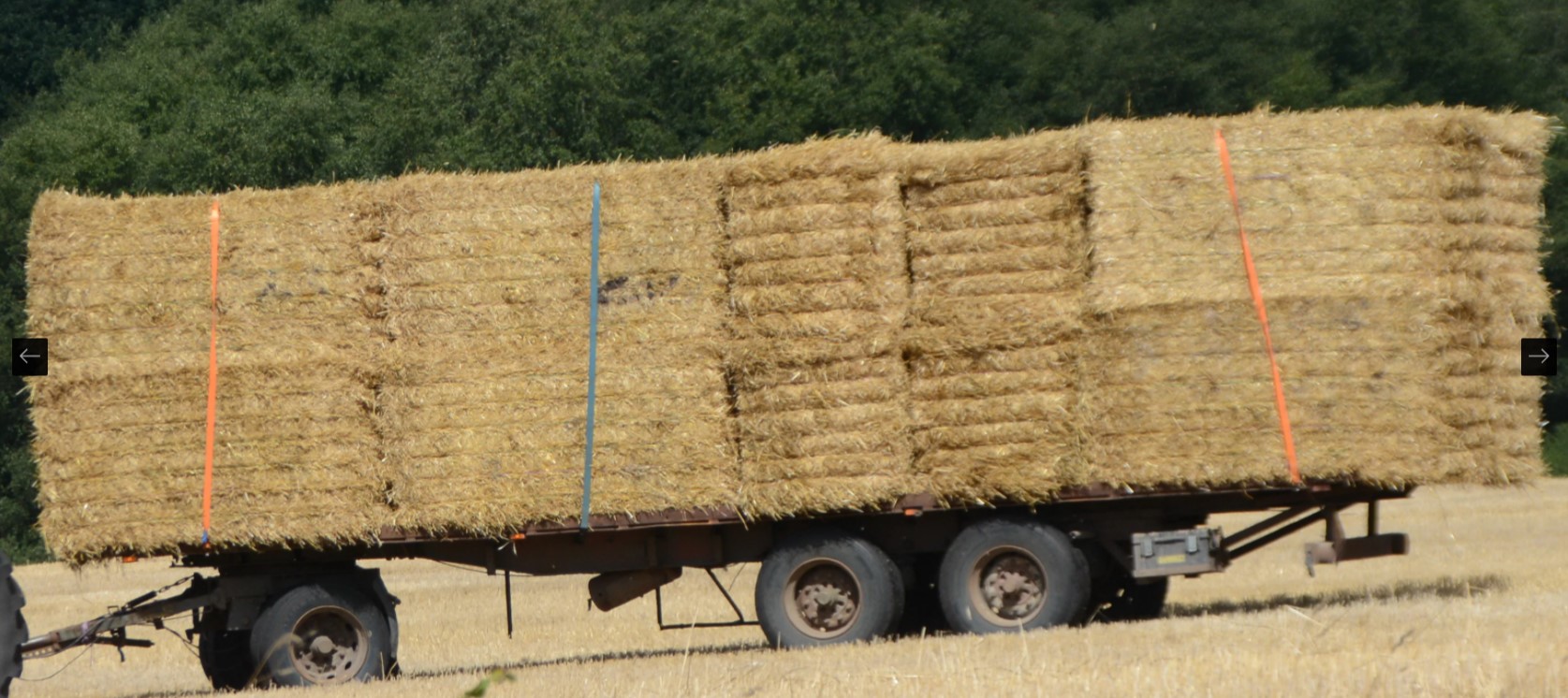 Sæt ikke dit kørekort på spil - få hele lasten med hjem!