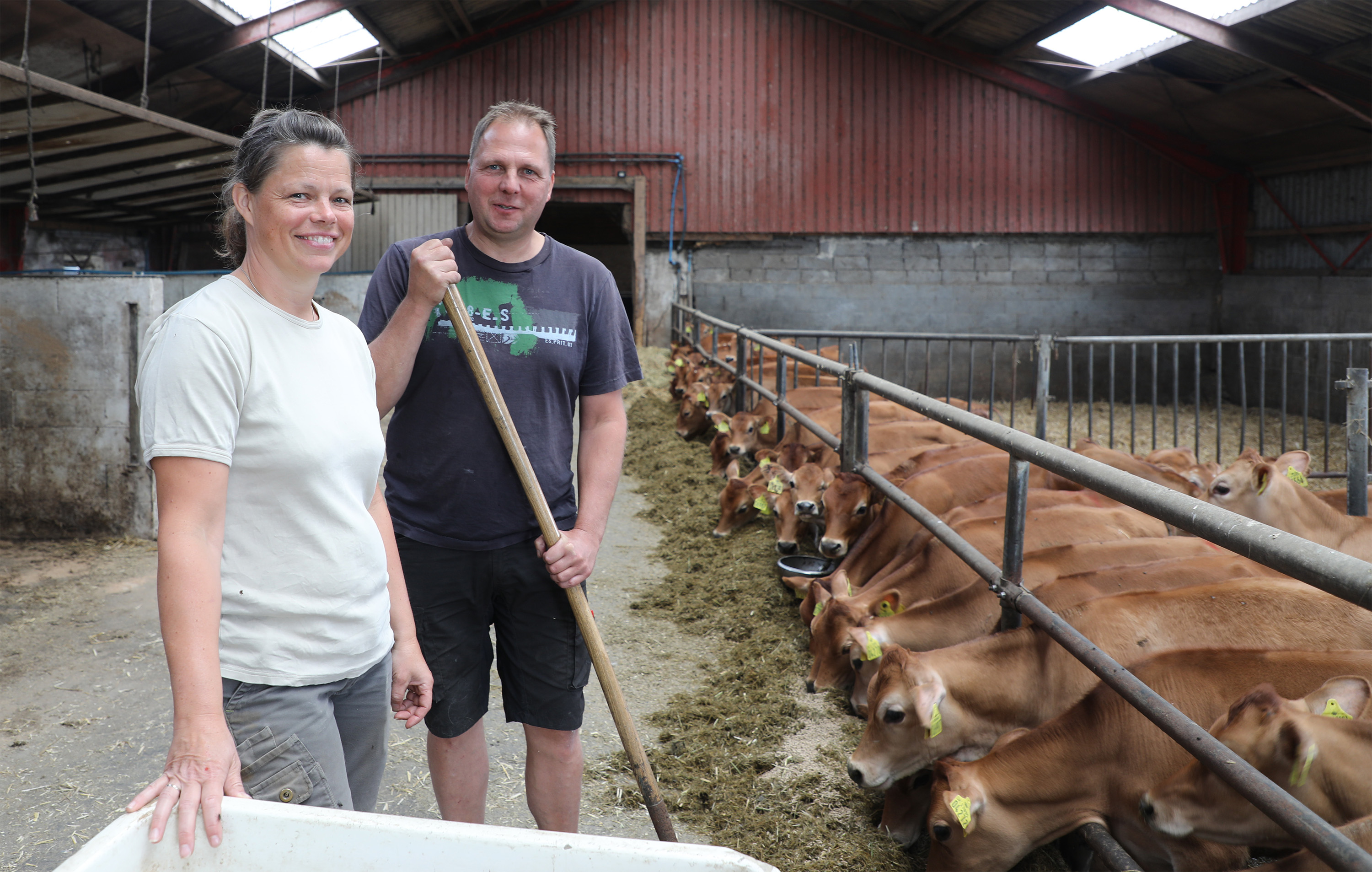 Kviehotel blev vejen frem for tidligere minkavlerpar