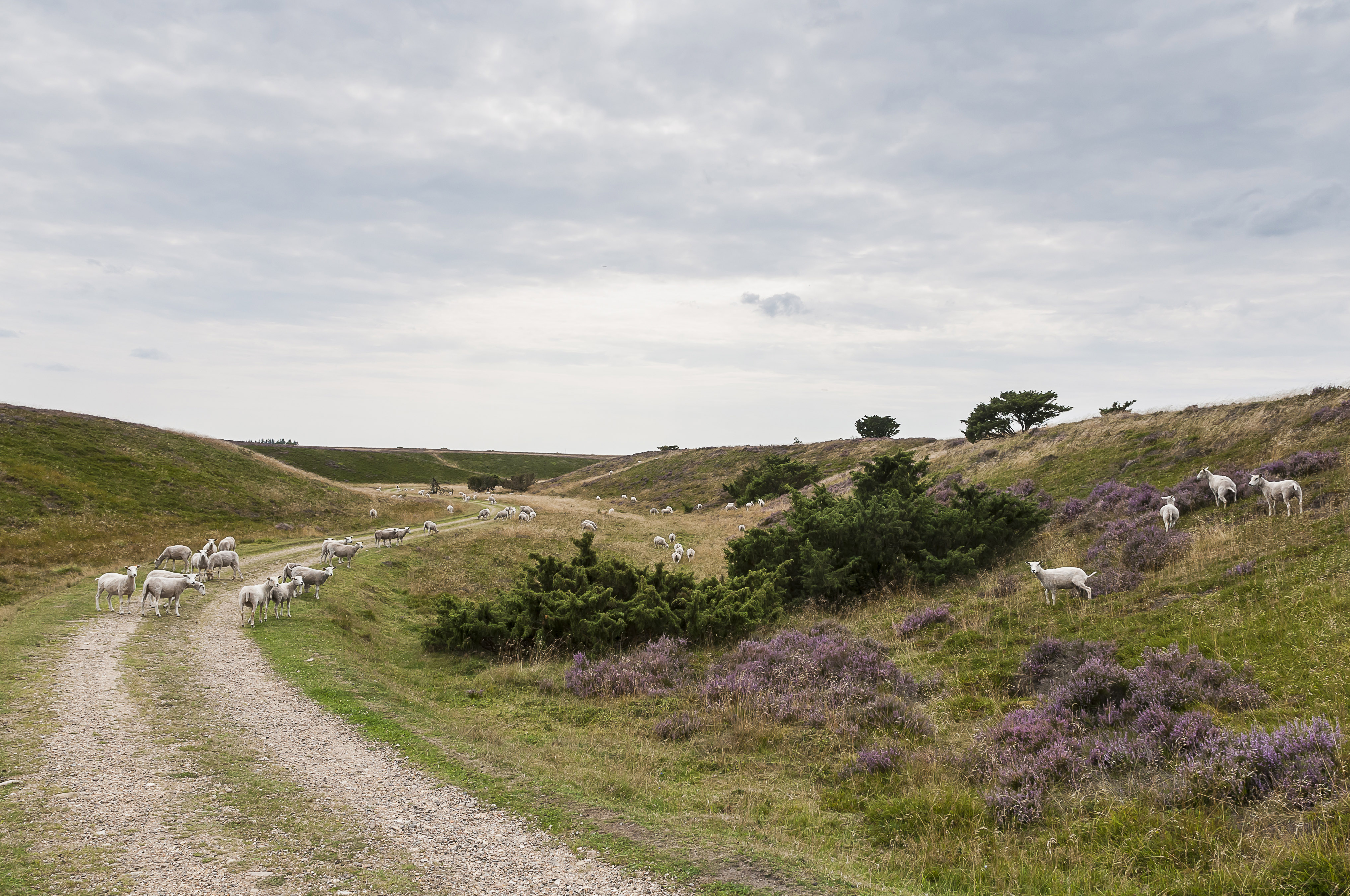 Har du styr på de nye tilskudsmuligheder?