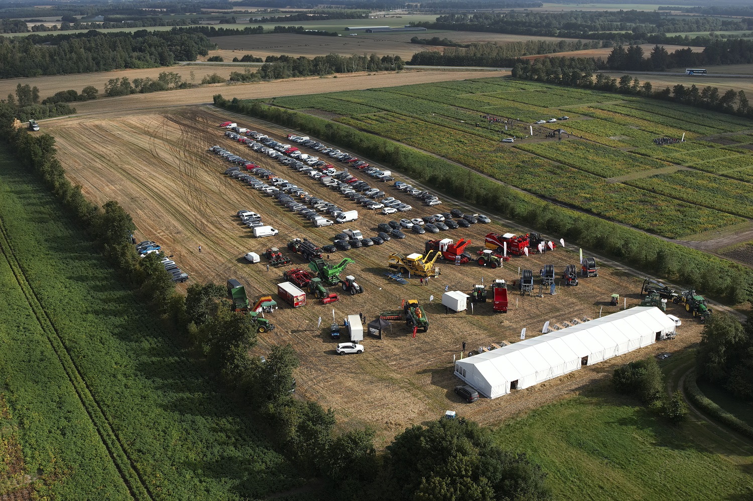 Mange besøgende til Danmarks største kartoffel-event