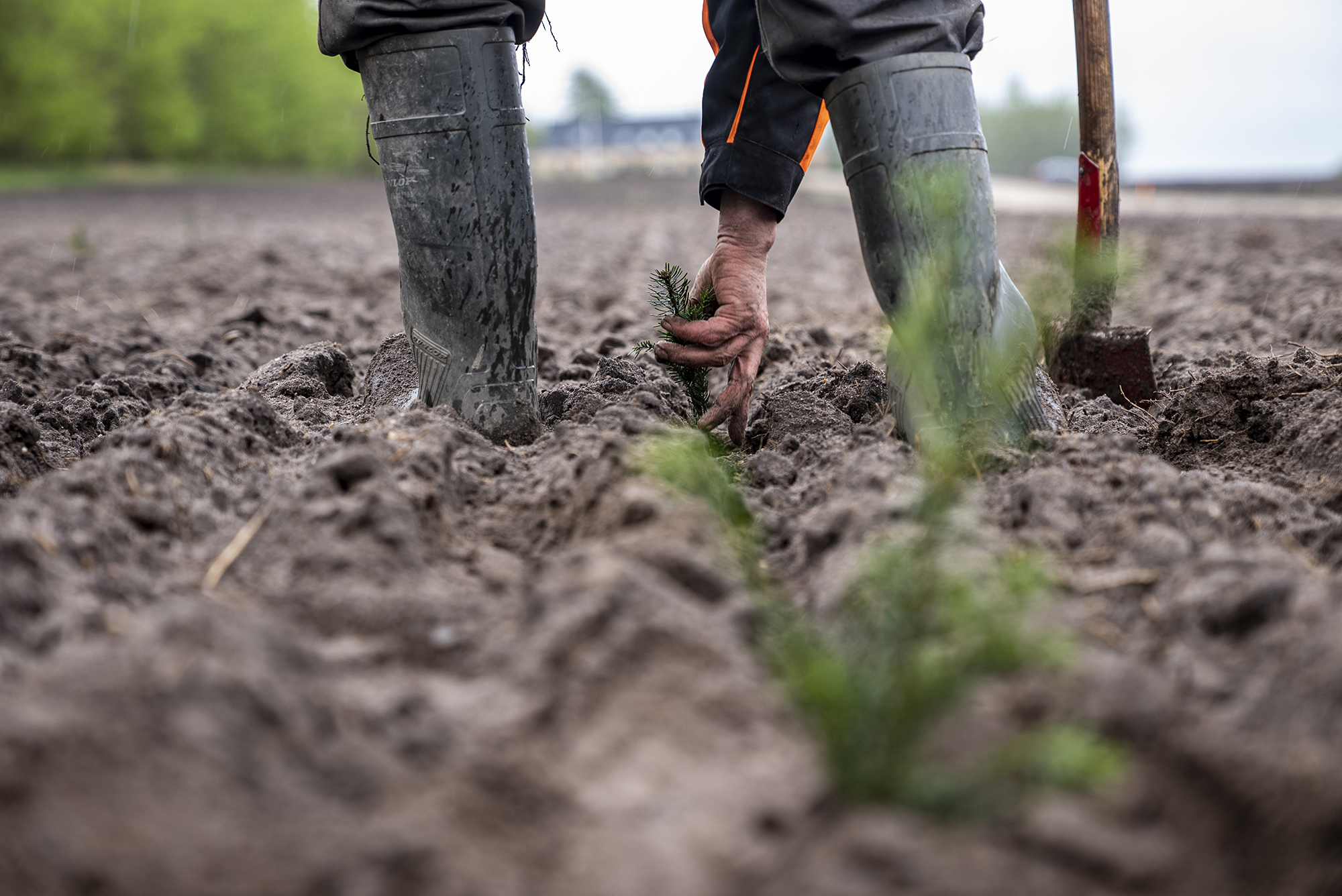 Ansøgningsfrist til etableringsstøtte udskudt til fredag