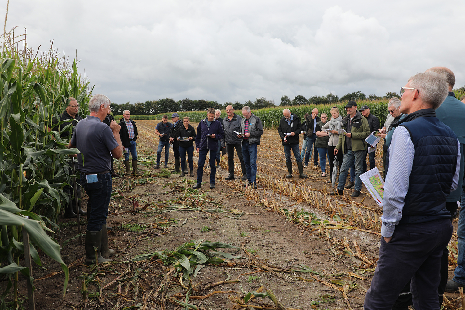 Majsdagen bød på spritnye resultater for majssorter