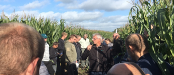 Majsdagen ved Holstebro bød på flot vejr og masser af nye resultater for majssorter